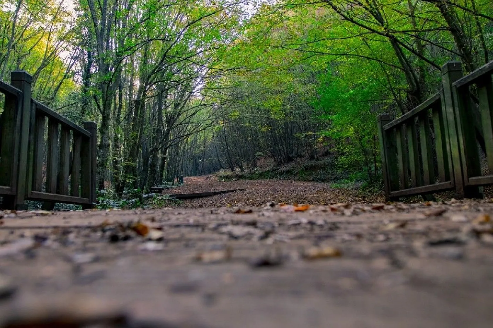 Kasımda Beykoz başka güzel