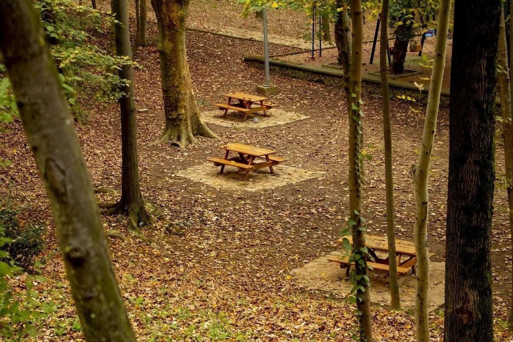 Kasımda Beykoz başka güzel