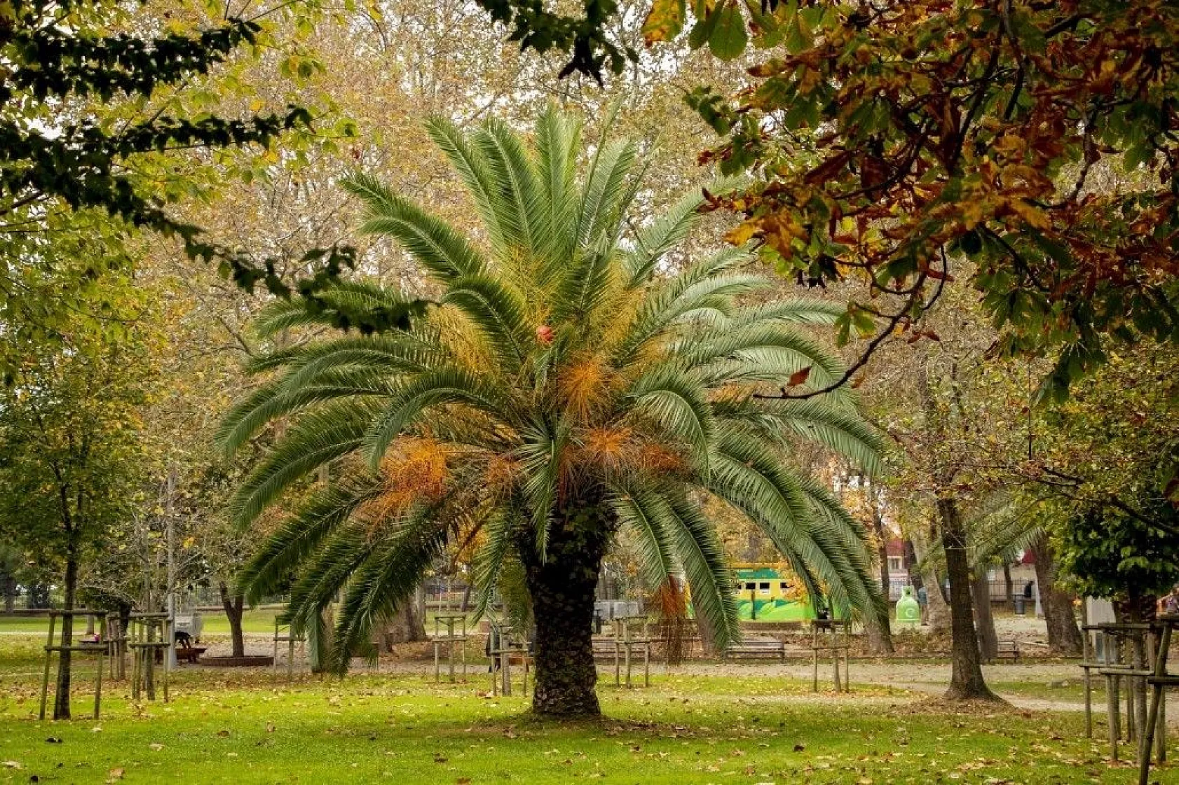 Kasımda Beykoz başka güzel