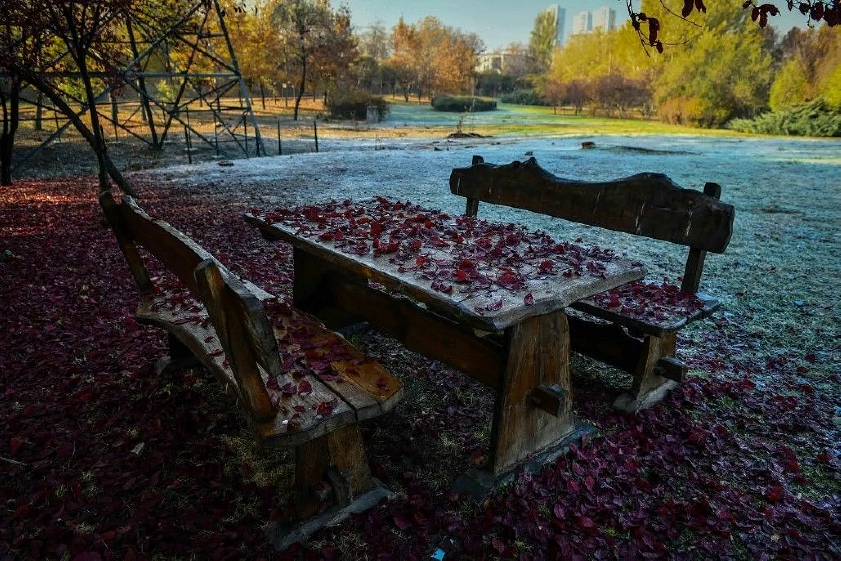 Başkent'in rengi sonbahar