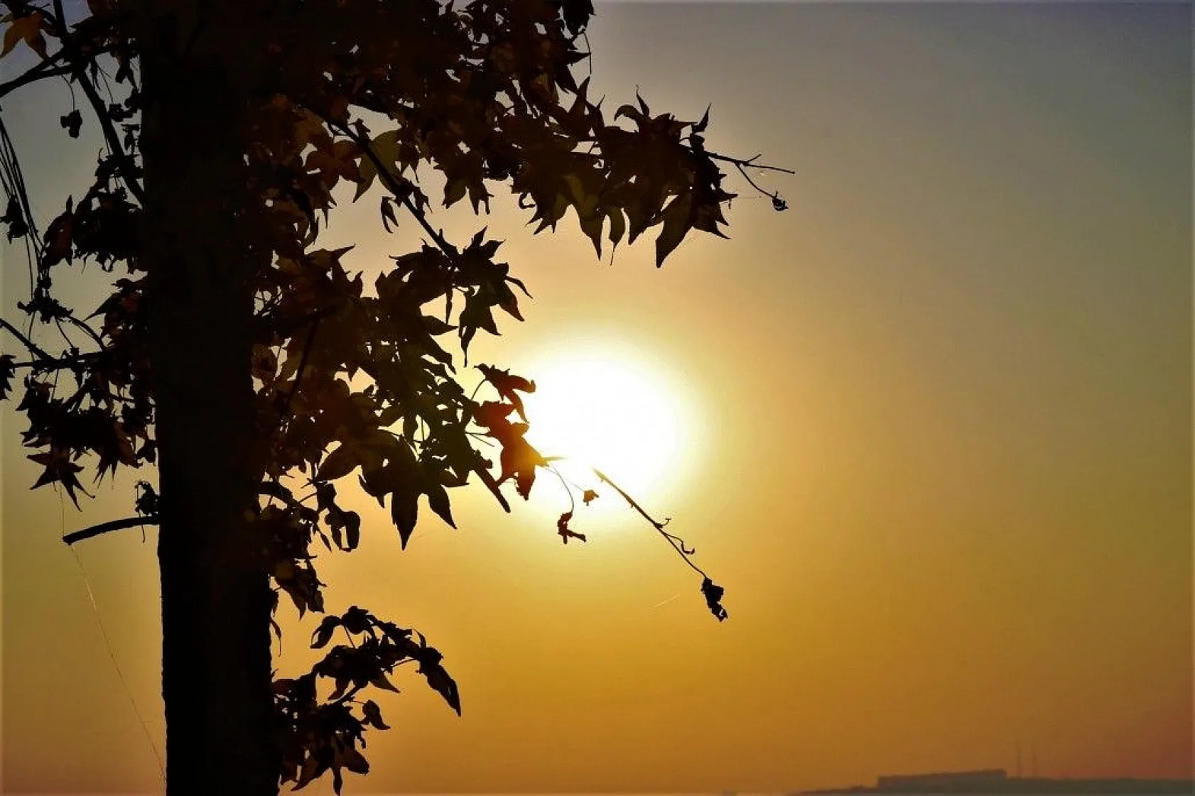 Diyarbakır'da sonbahar güzellikleri