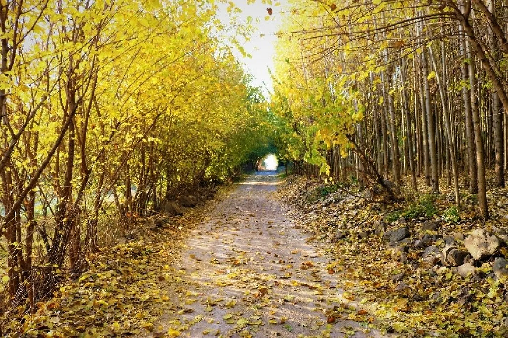 Diyarbakır'da sonbahar güzellikleri