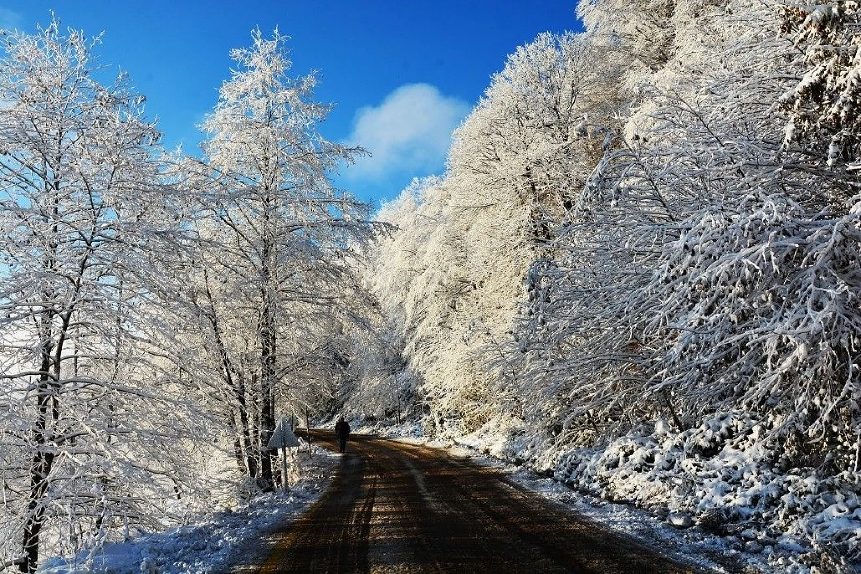 Ordu'da kar güzelliği