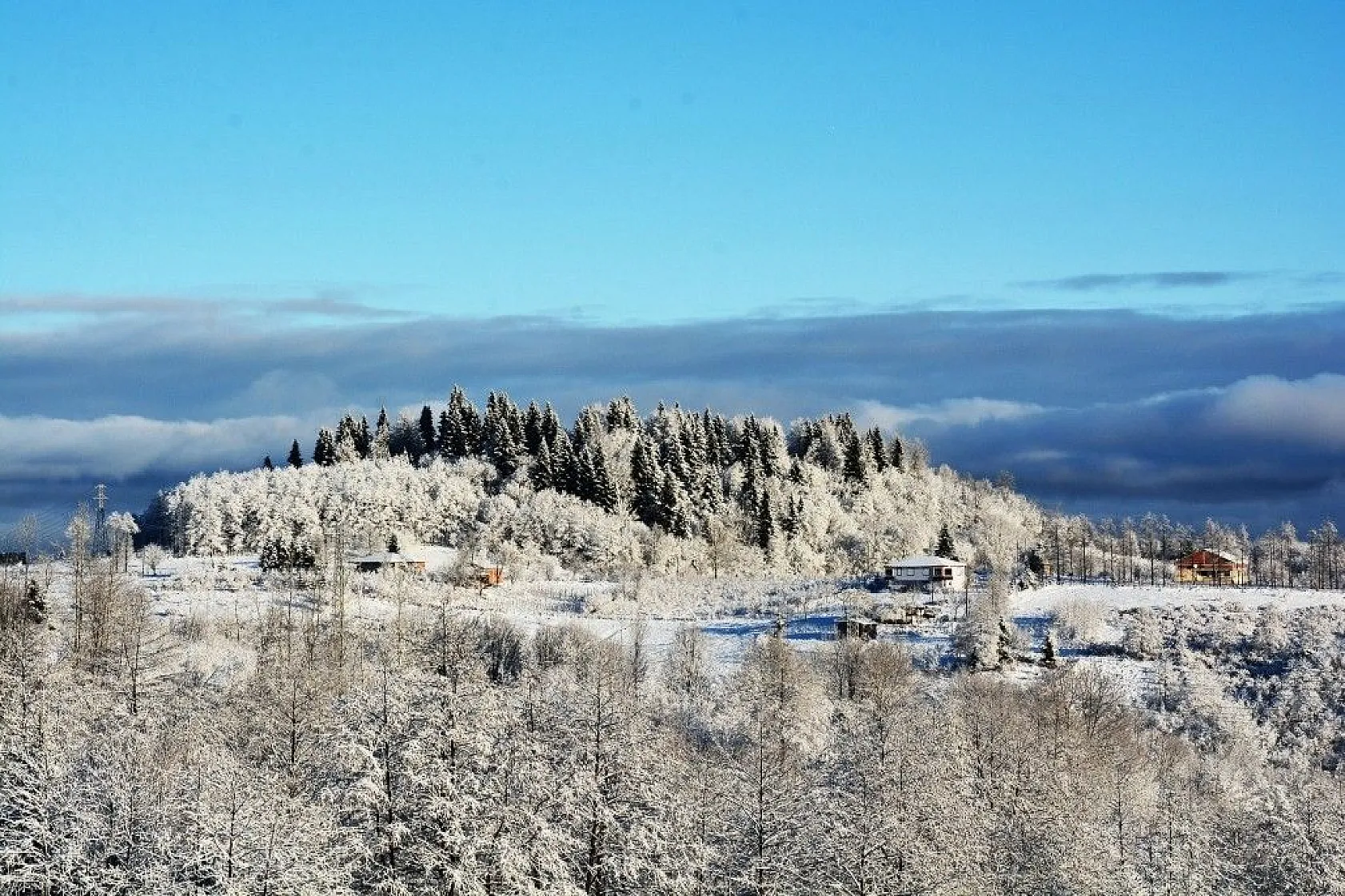 Ordu'da kar güzelliği