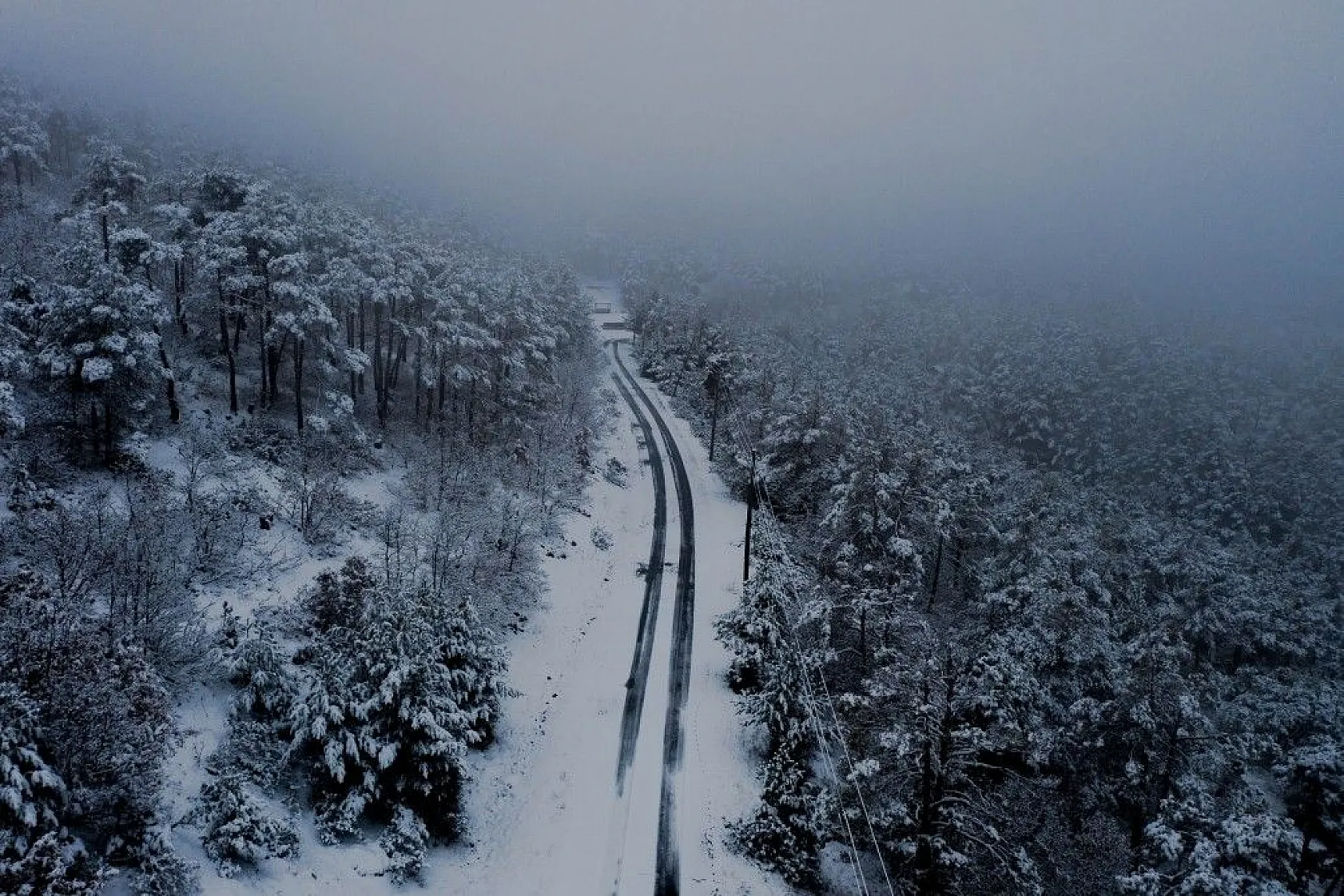 Yeşil ve beyazın eşsiz buluşması kartpostallık görüntü oluşturdu