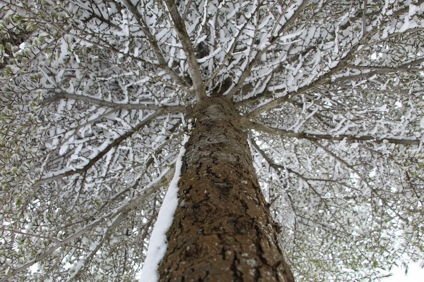 Elazığ'da kartpostallık görüntüler
