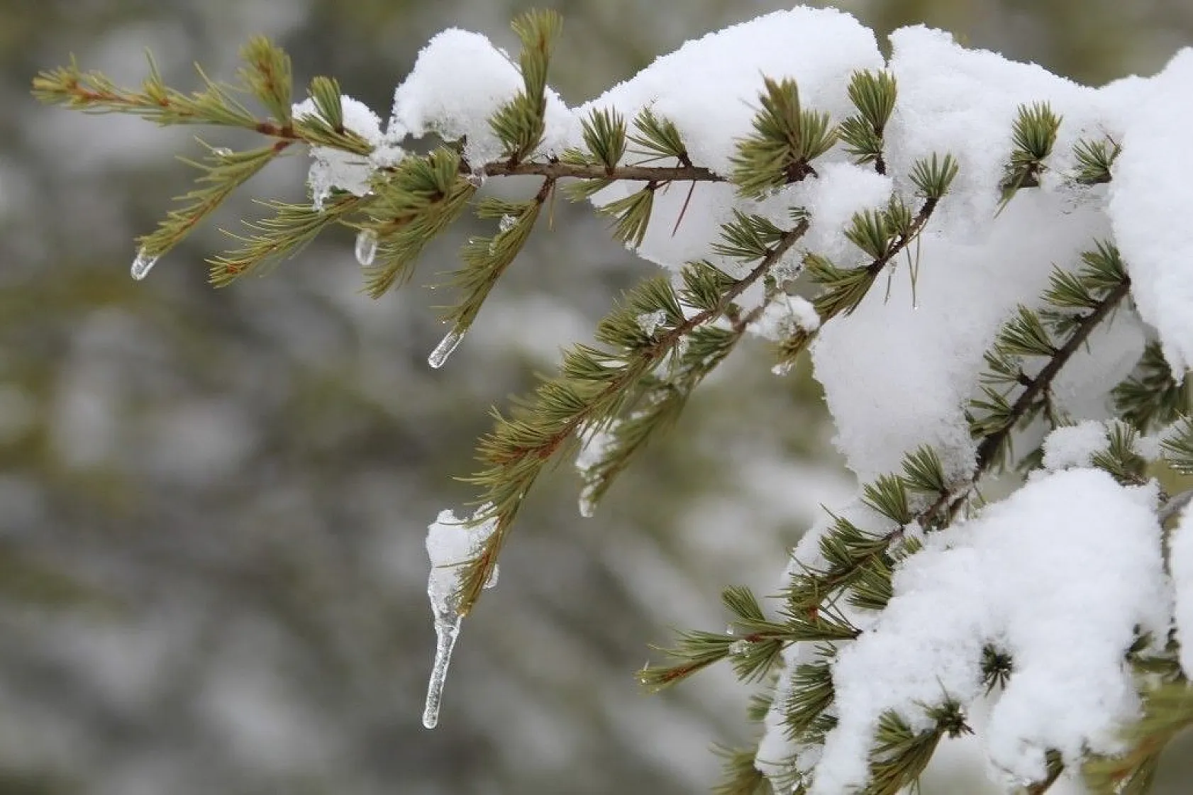 Elazığ'da kartpostallık görüntüler