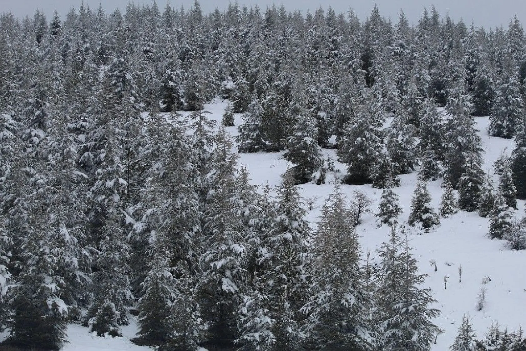 Elazığ'da kartpostallık görüntüler