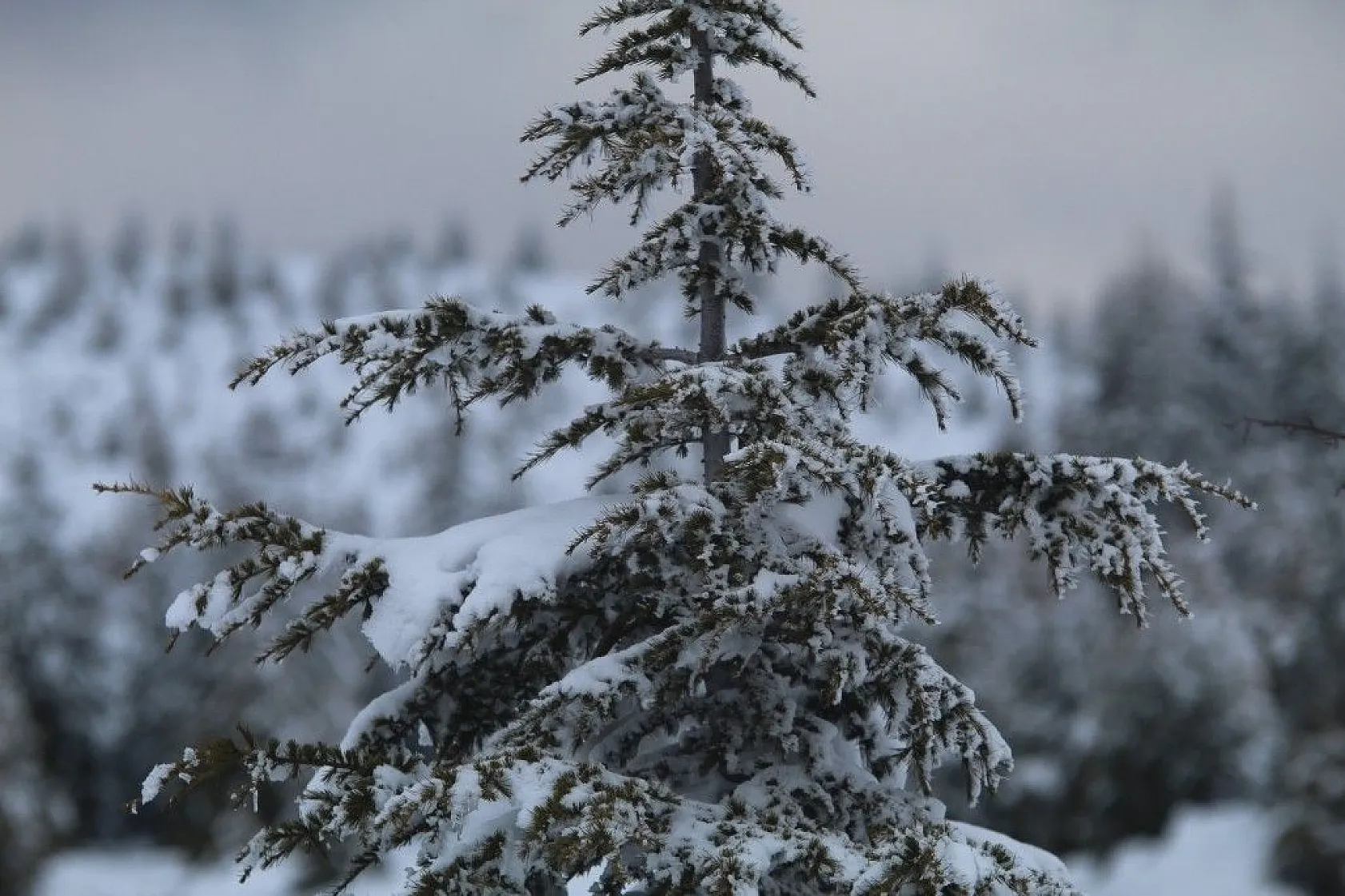Elazığ'da kartpostallık görüntüler