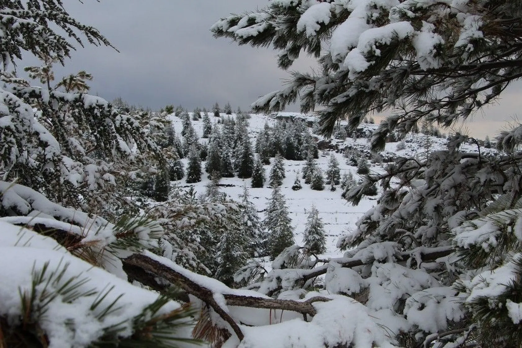 Elazığ'da kartpostallık görüntüler