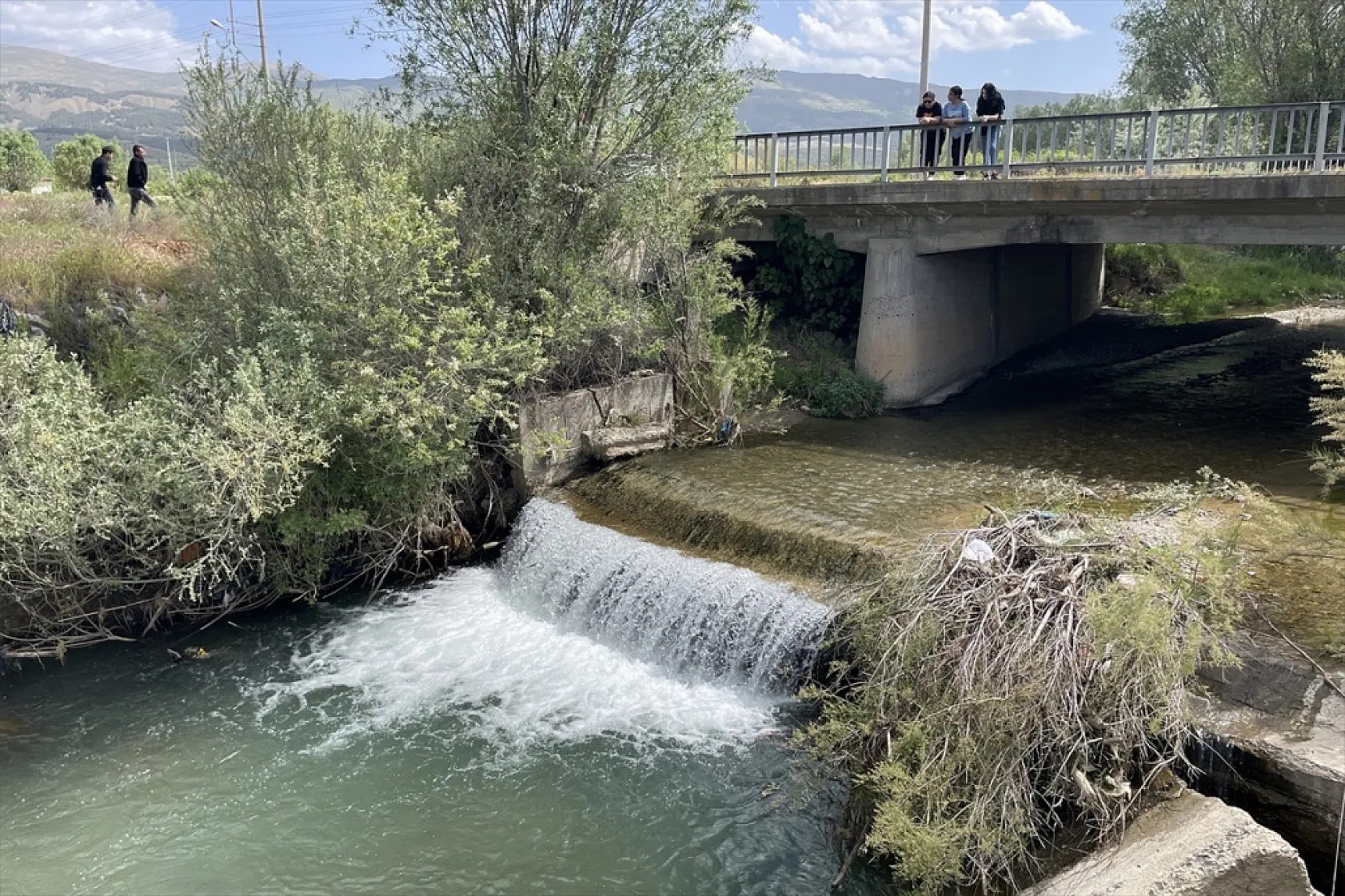 Elazığ'da bu yıl 700 bin siraz balığı yavrusu ekonomiye kazandırılacak