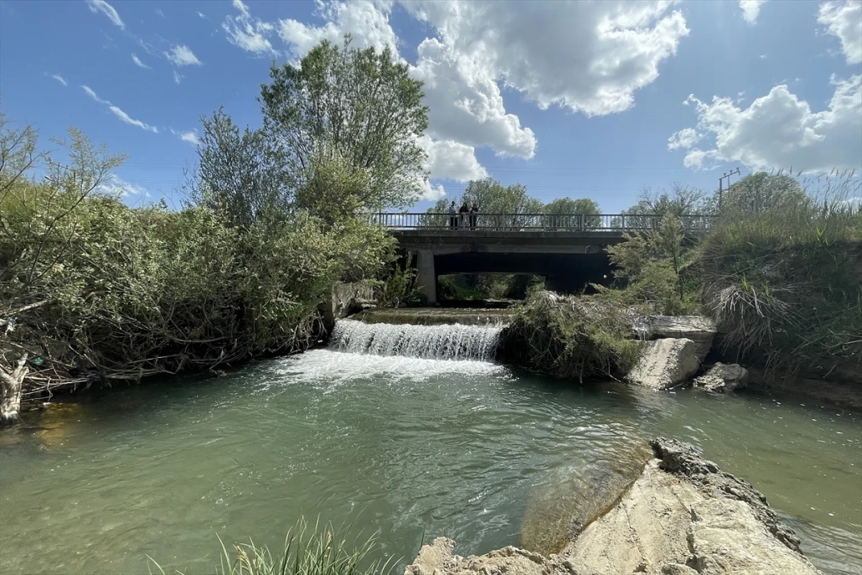 Elazığ'da bu yıl 700 bin siraz balığı yavrusu ekonomiye kazandırılacak
