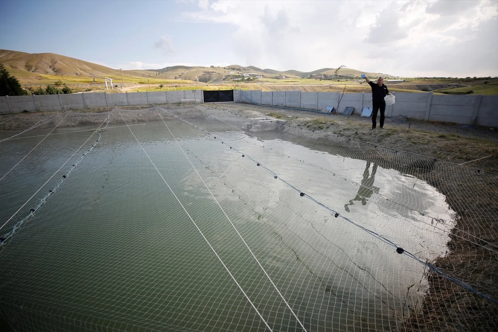 Elazığ'da bu yıl 700 bin siraz balığı yavrusu ekonomiye kazandırılacak