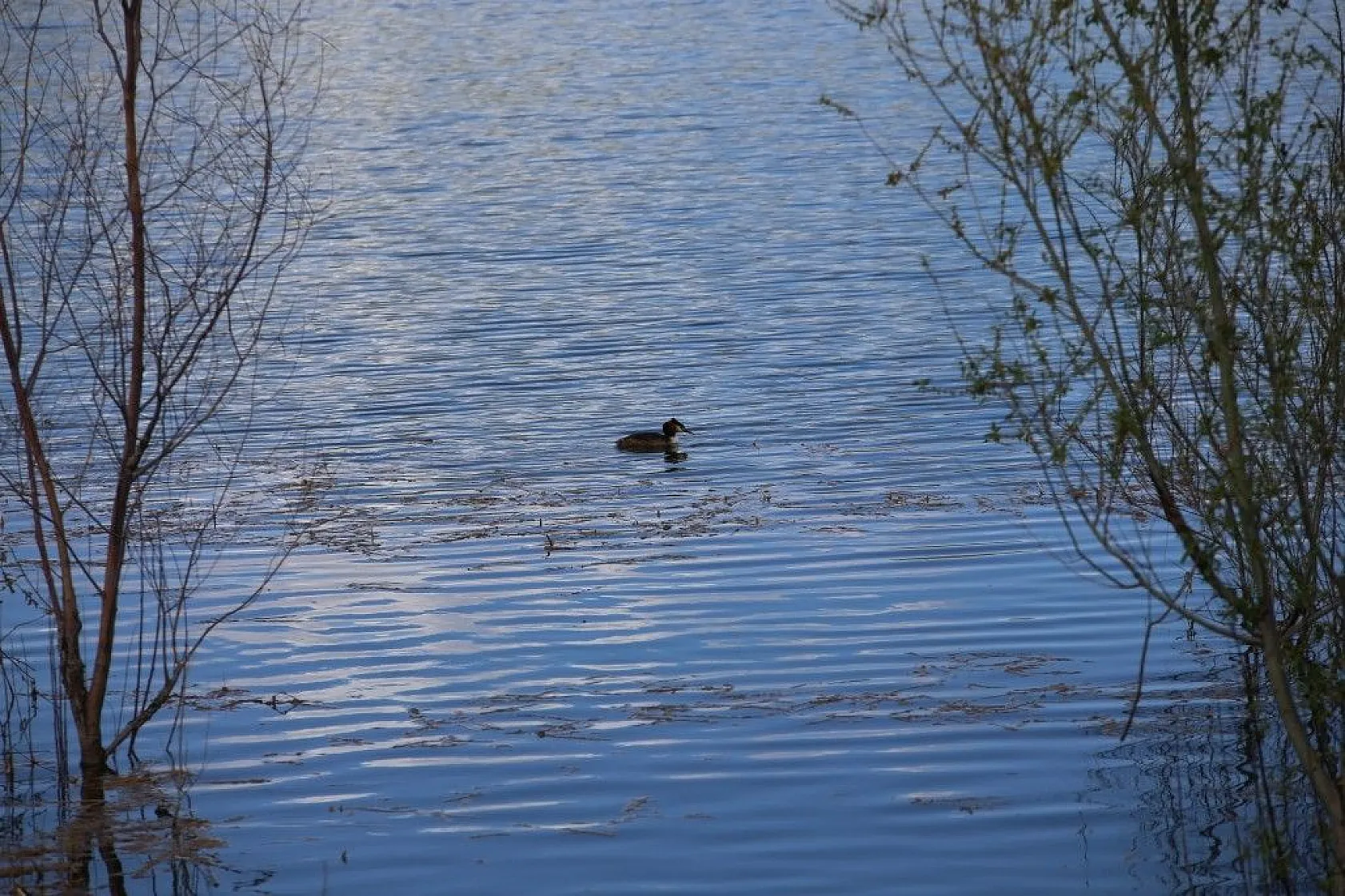 Son zamanlarda çekilen kartpostallık muhteşem Elazığ fotoğrafları...