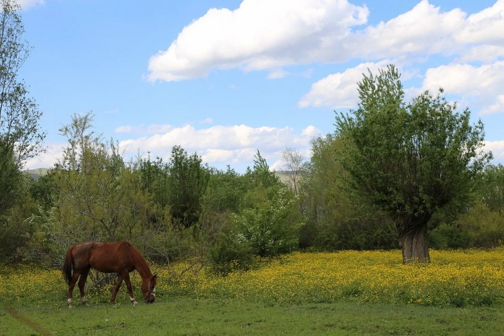 Son zamanlarda çekilen kartpostallık muhteşem Elazığ fotoğrafları...