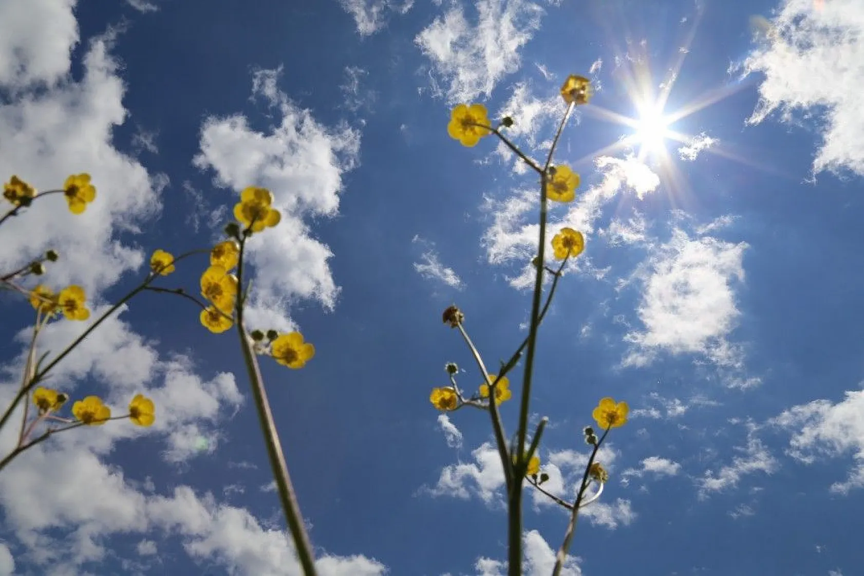 Son zamanlarda çekilen kartpostallık muhteşem Elazığ fotoğrafları...