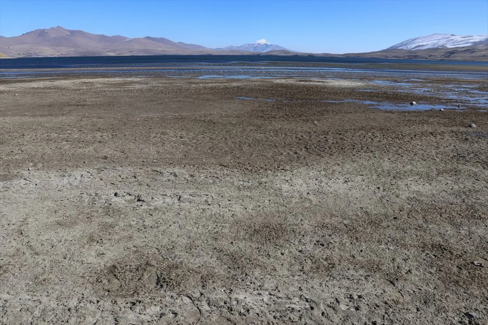 Doğu'nun saklı güzelliği Balık Gölü kuruma tehlikesi altında