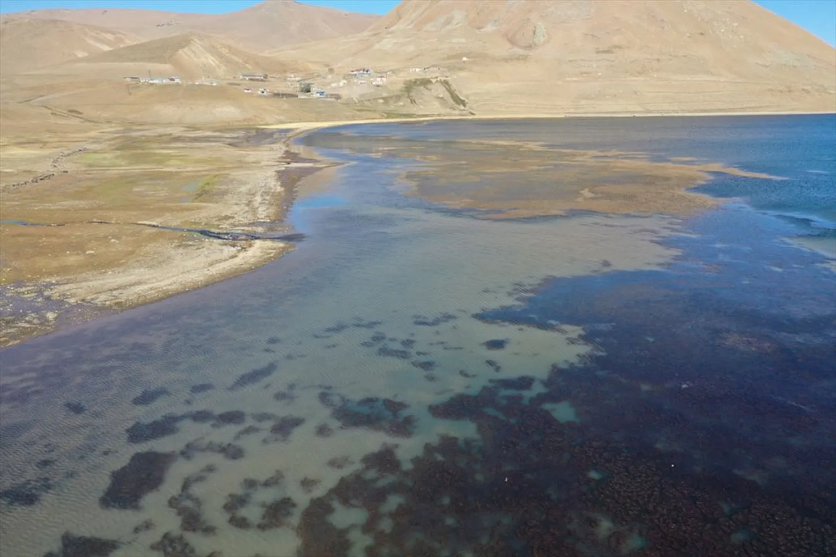 Doğu'nun saklı güzelliği Balık Gölü kuruma tehlikesi altında