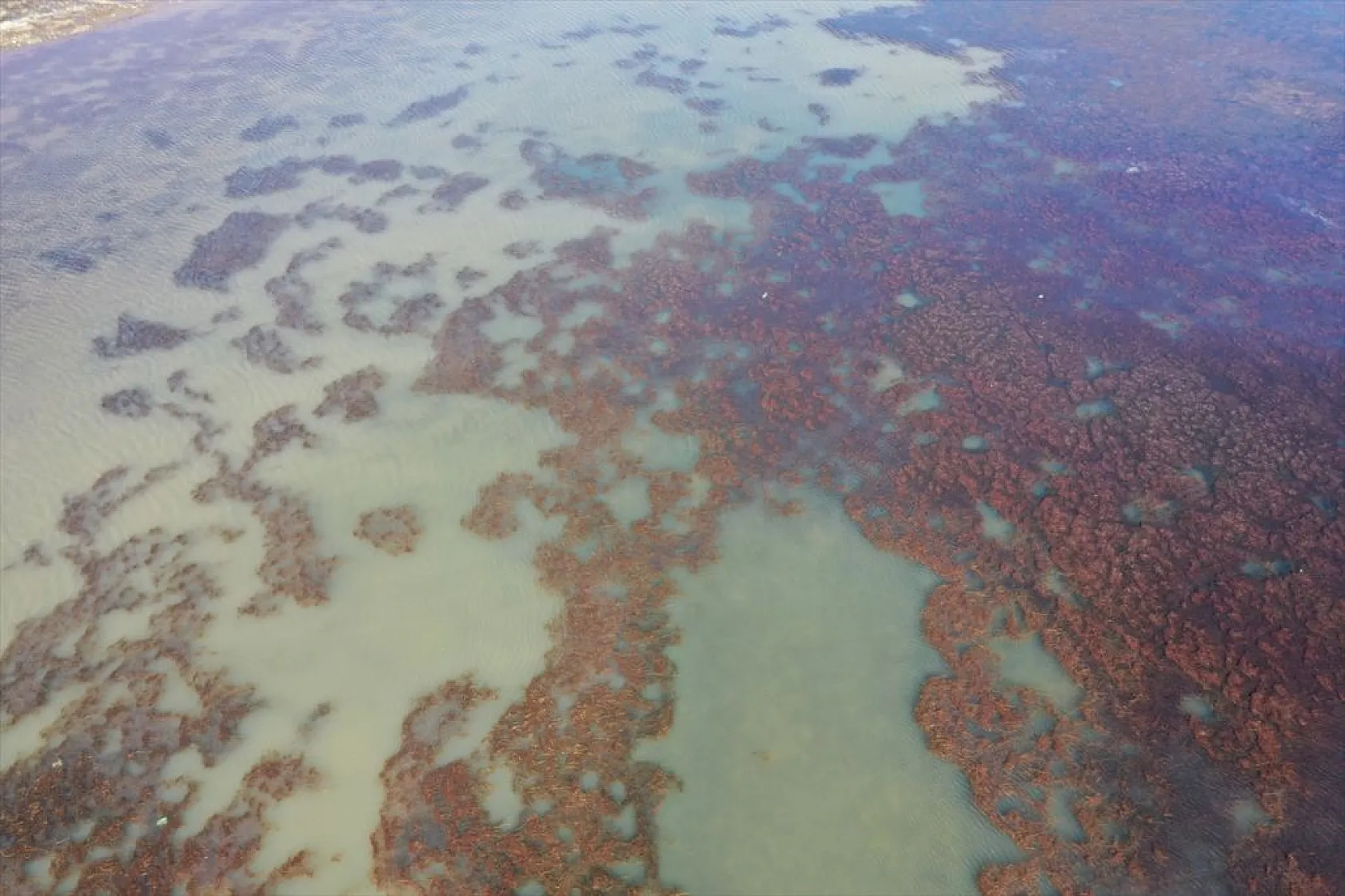 Doğu'nun saklı güzelliği Balık Gölü kuruma tehlikesi altında