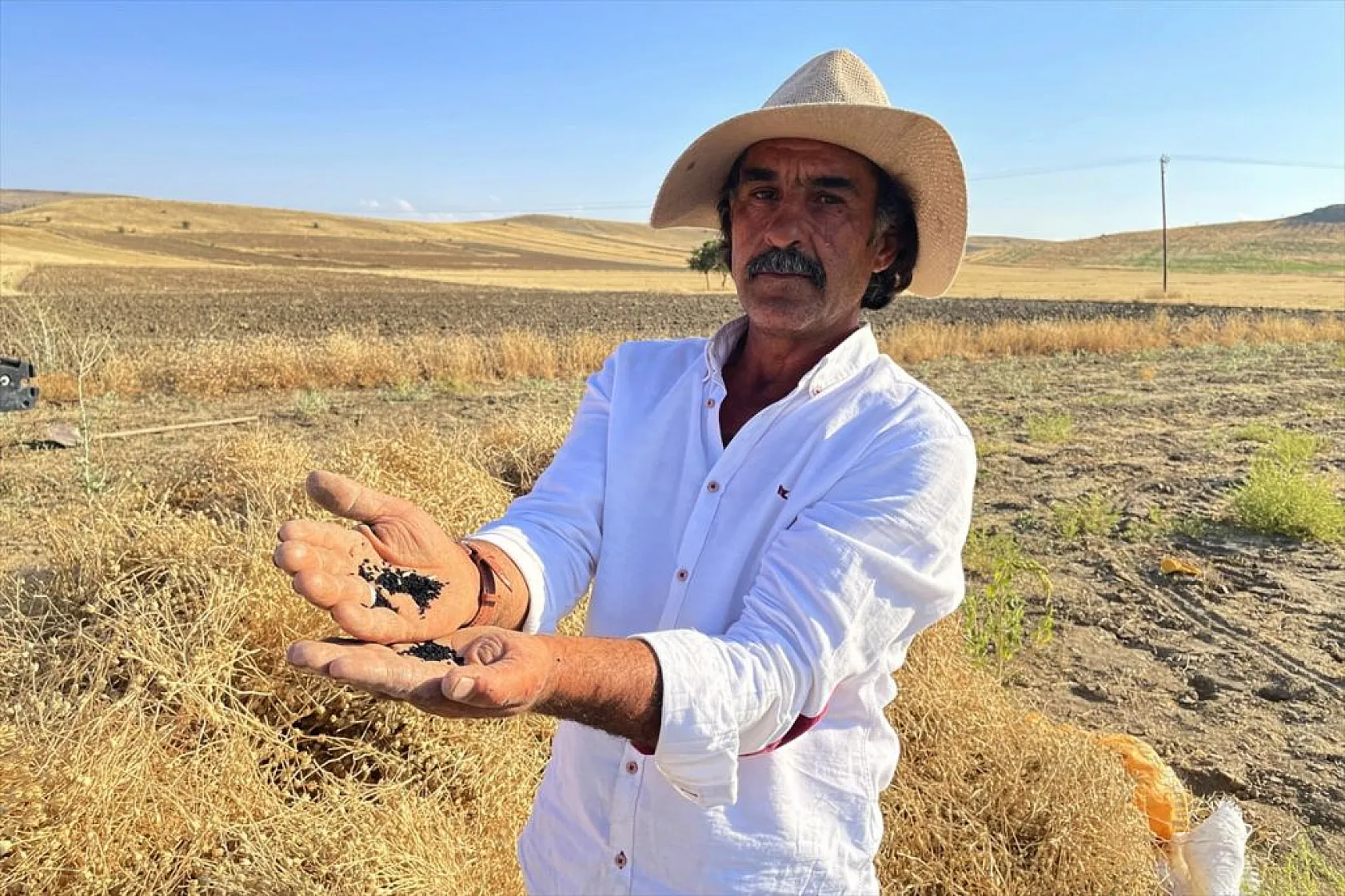 Kadınların bunaltıcı sıcakta çörek otu mesaisi