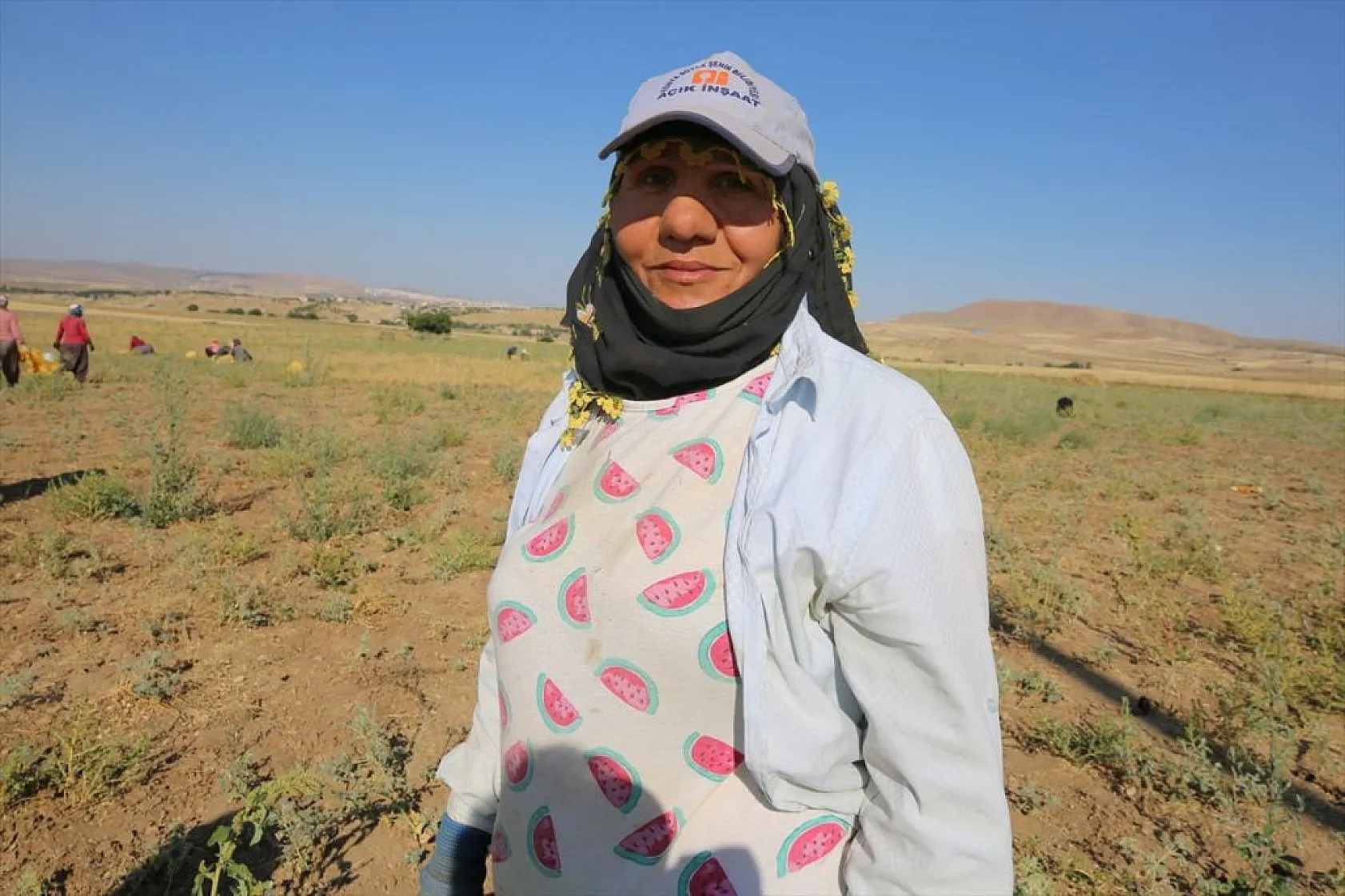 Kadınların bunaltıcı sıcakta çörek otu mesaisi