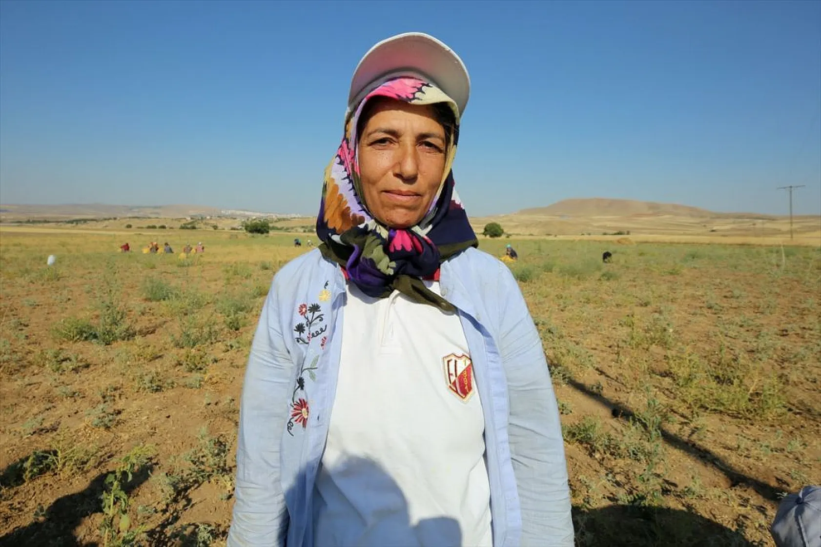 Kadınların bunaltıcı sıcakta çörek otu mesaisi