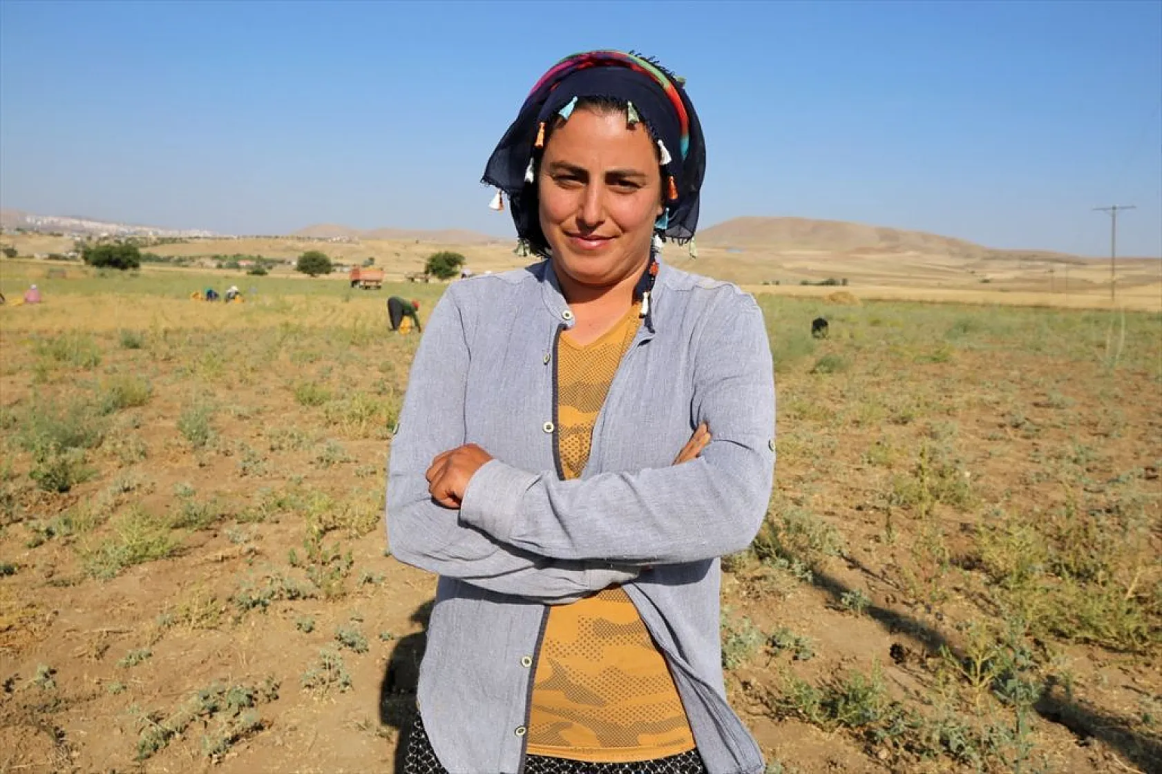 Kadınların bunaltıcı sıcakta çörek otu mesaisi