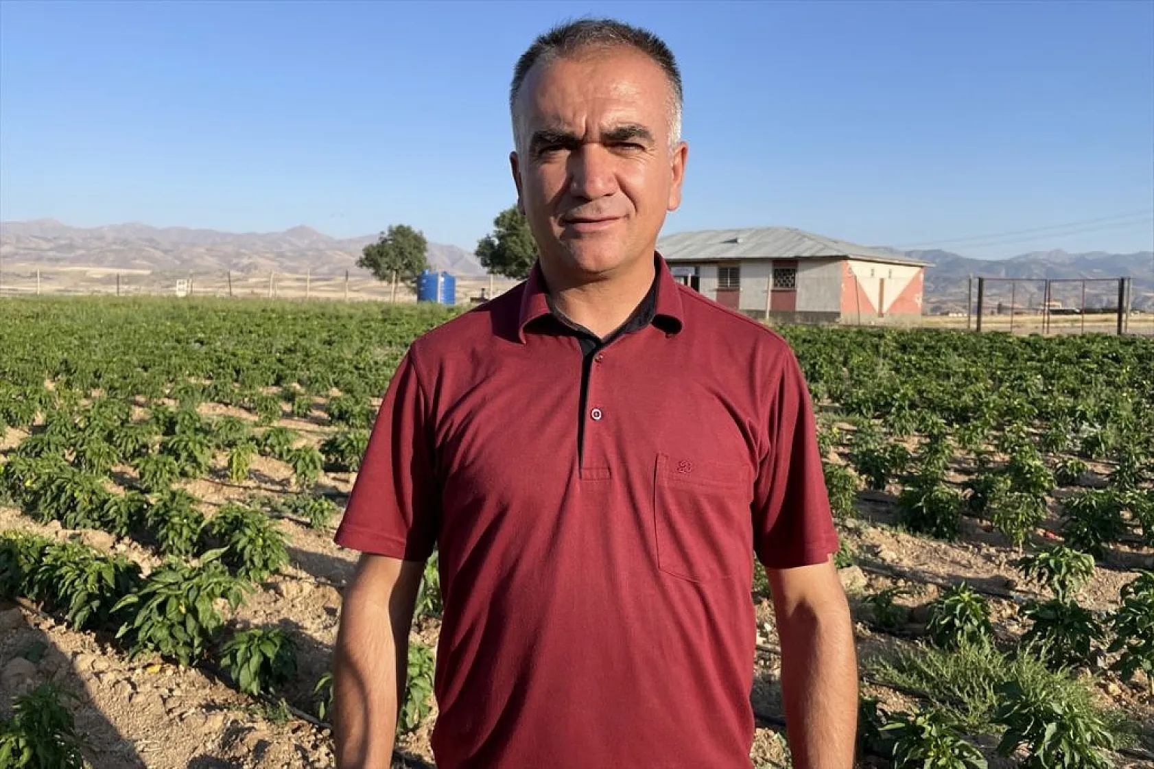 Devletin arazisi kadınlara ekmek kapısı oldu