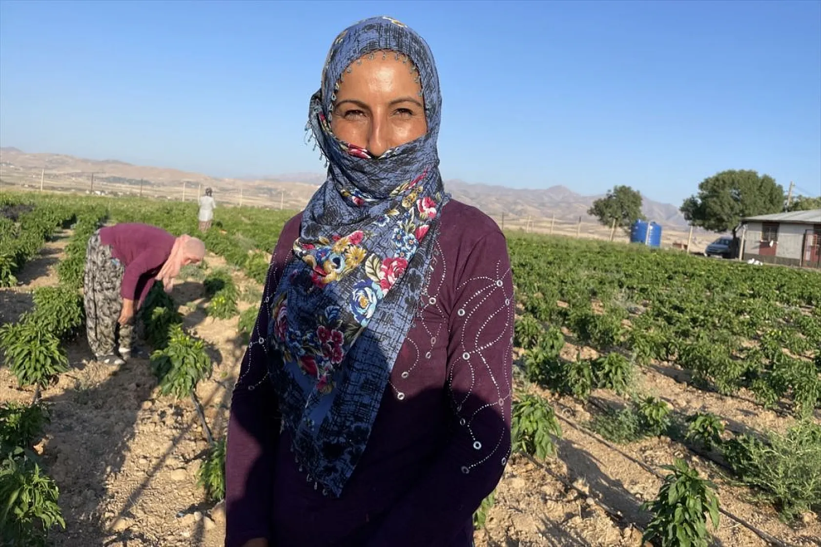 Devletin arazisi kadınlara ekmek kapısı oldu