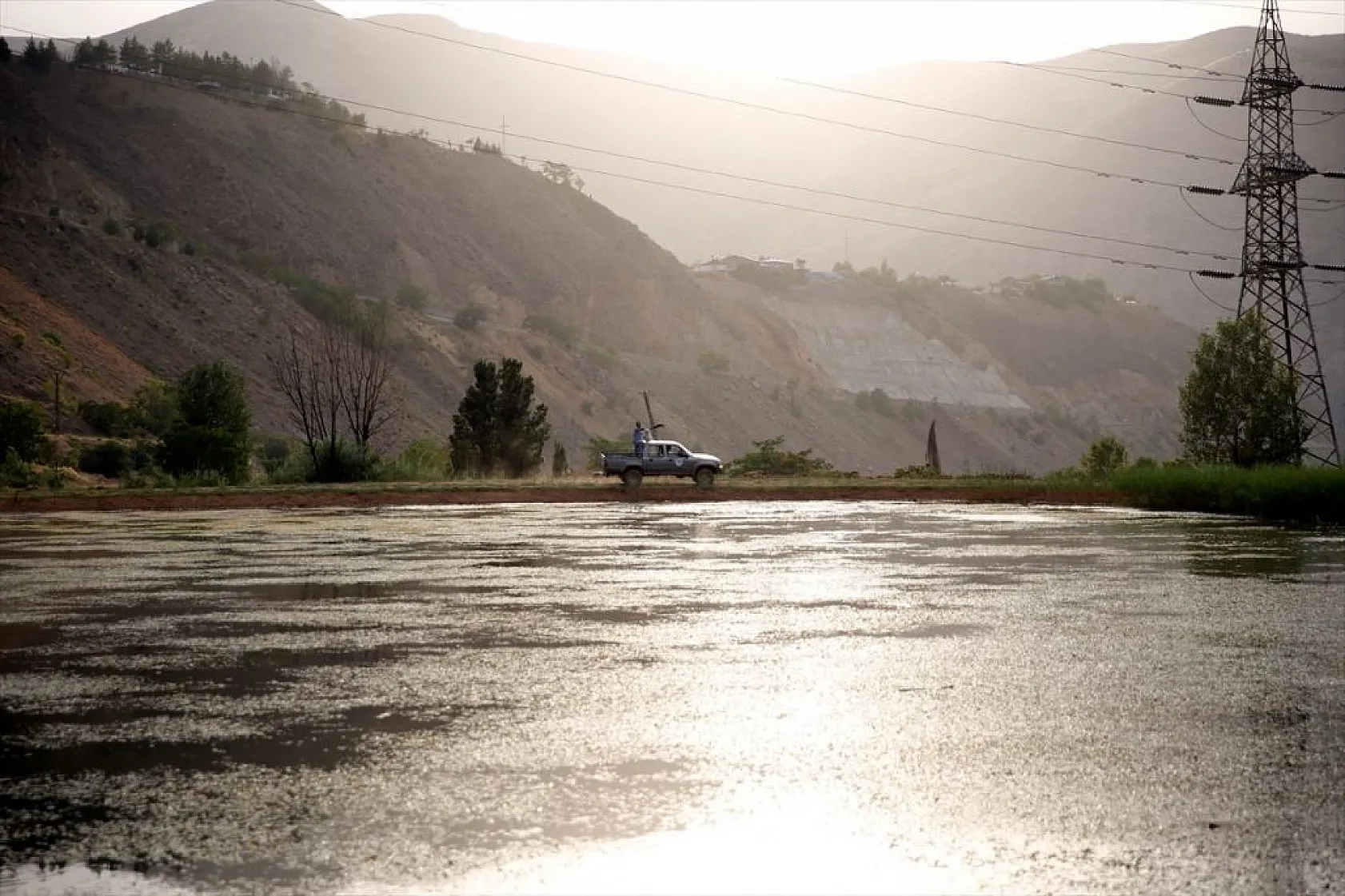 Elazığ'da üretilen yavru sazanla Doğu'daki su kaynakları balığa doyacak