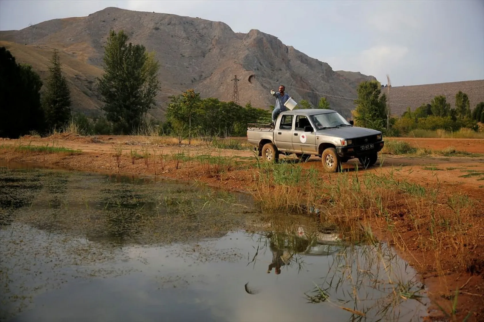 Elazığ'da üretilen yavru sazanla Doğu'daki su kaynakları balığa doyacak