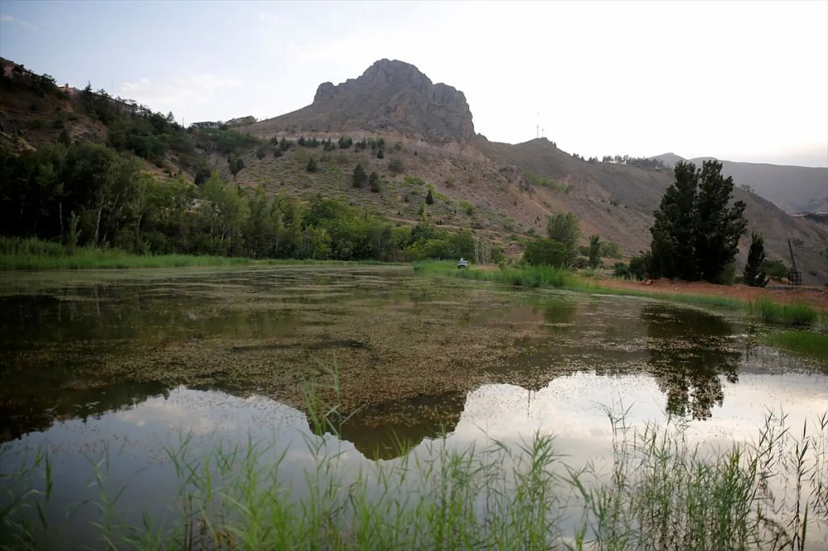Elazığ'da üretilen yavru sazanla Doğu'daki su kaynakları balığa doyacak