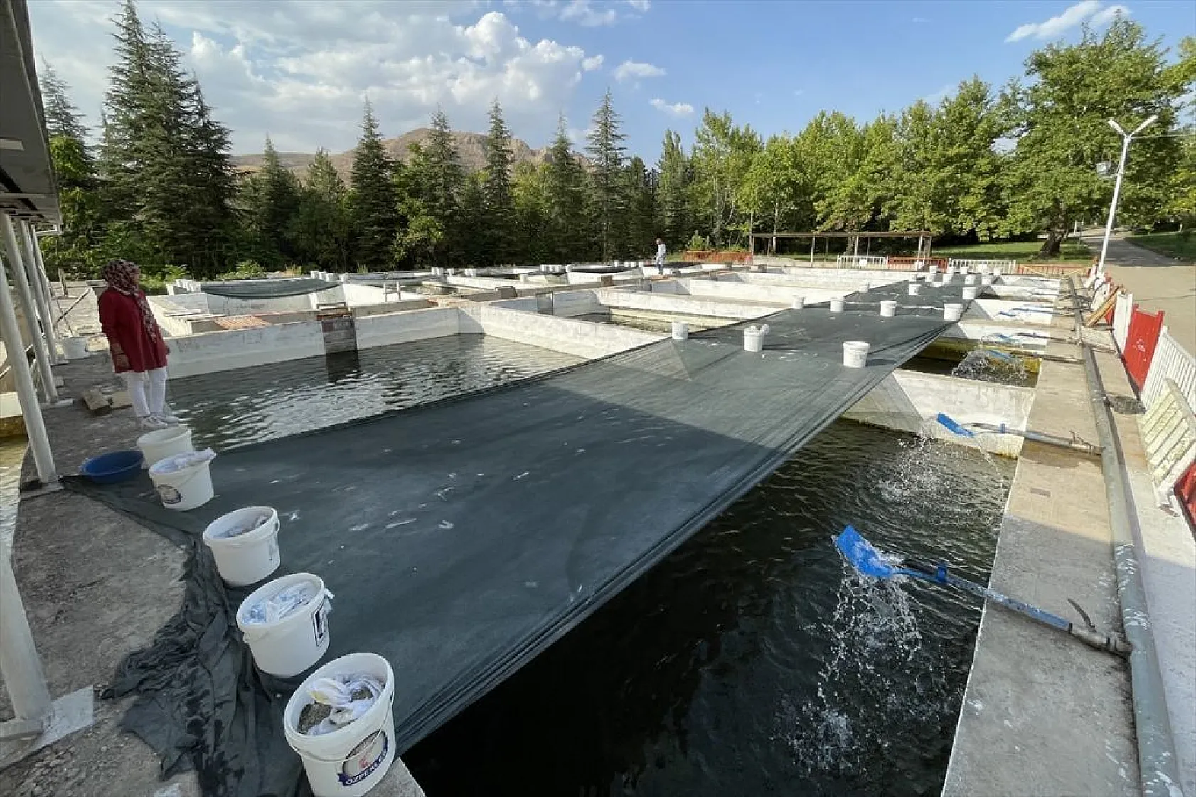 Elazığ'da üretilen yavru sazanla Doğu'daki su kaynakları balığa doyacak
