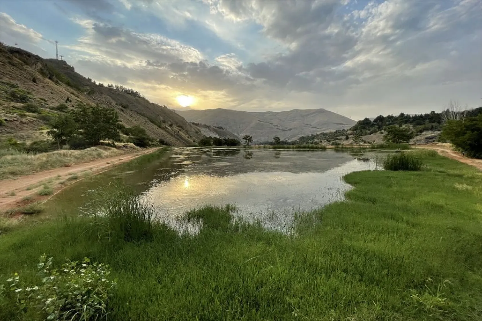 Elazığ'da üretilen yavru sazanla Doğu'daki su kaynakları balığa doyacak