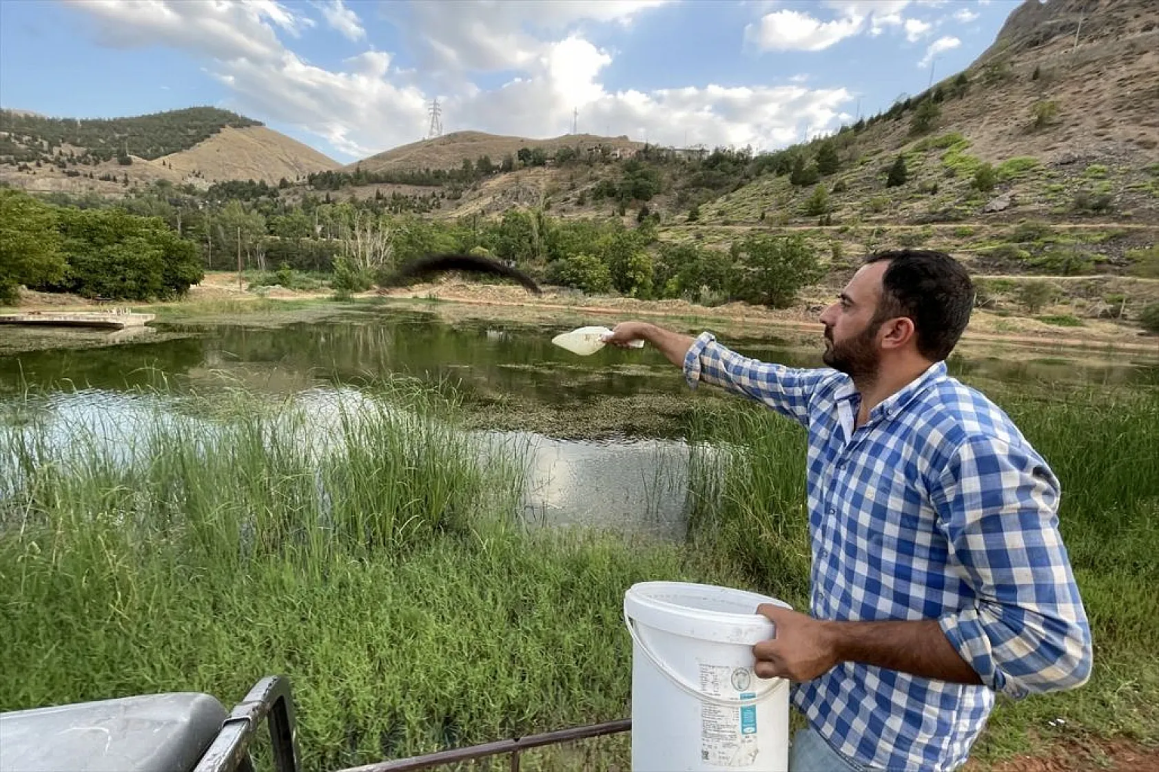 Elazığ'da üretilen yavru sazanla Doğu'daki su kaynakları balığa doyacak