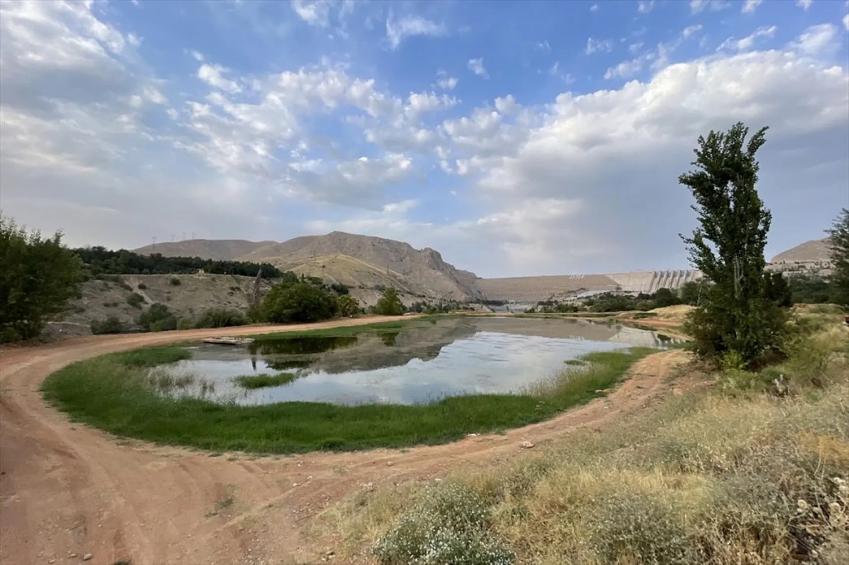 Elazığ'da üretilen yavru sazanla Doğu'daki su kaynakları balığa doyacak