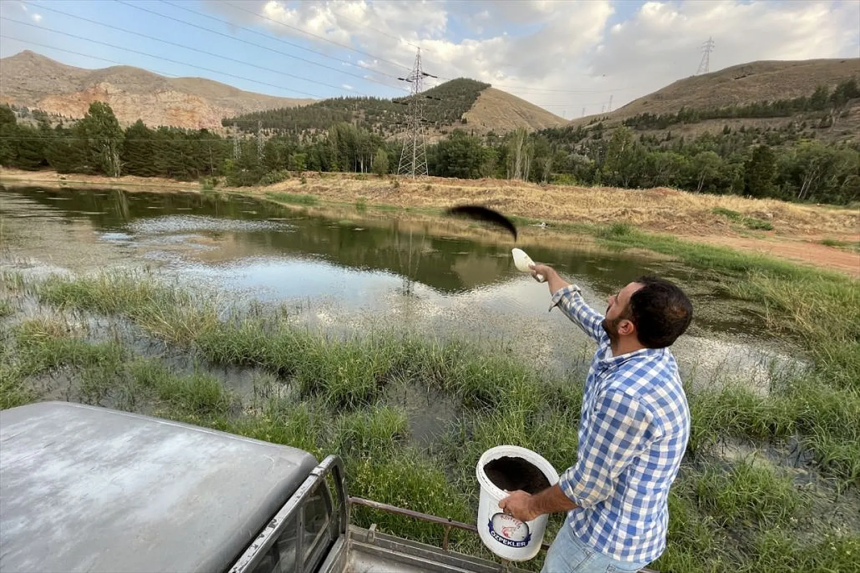 Elazığ'da üretilen yavru sazanla Doğu'daki su kaynakları balığa doyacak