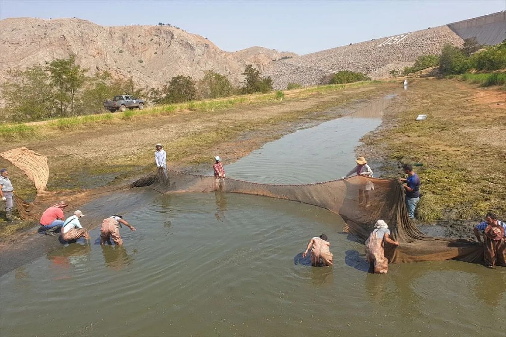 Elazığ'da üretilen yavru sazanla Doğu'daki su kaynakları balığa doyacak
