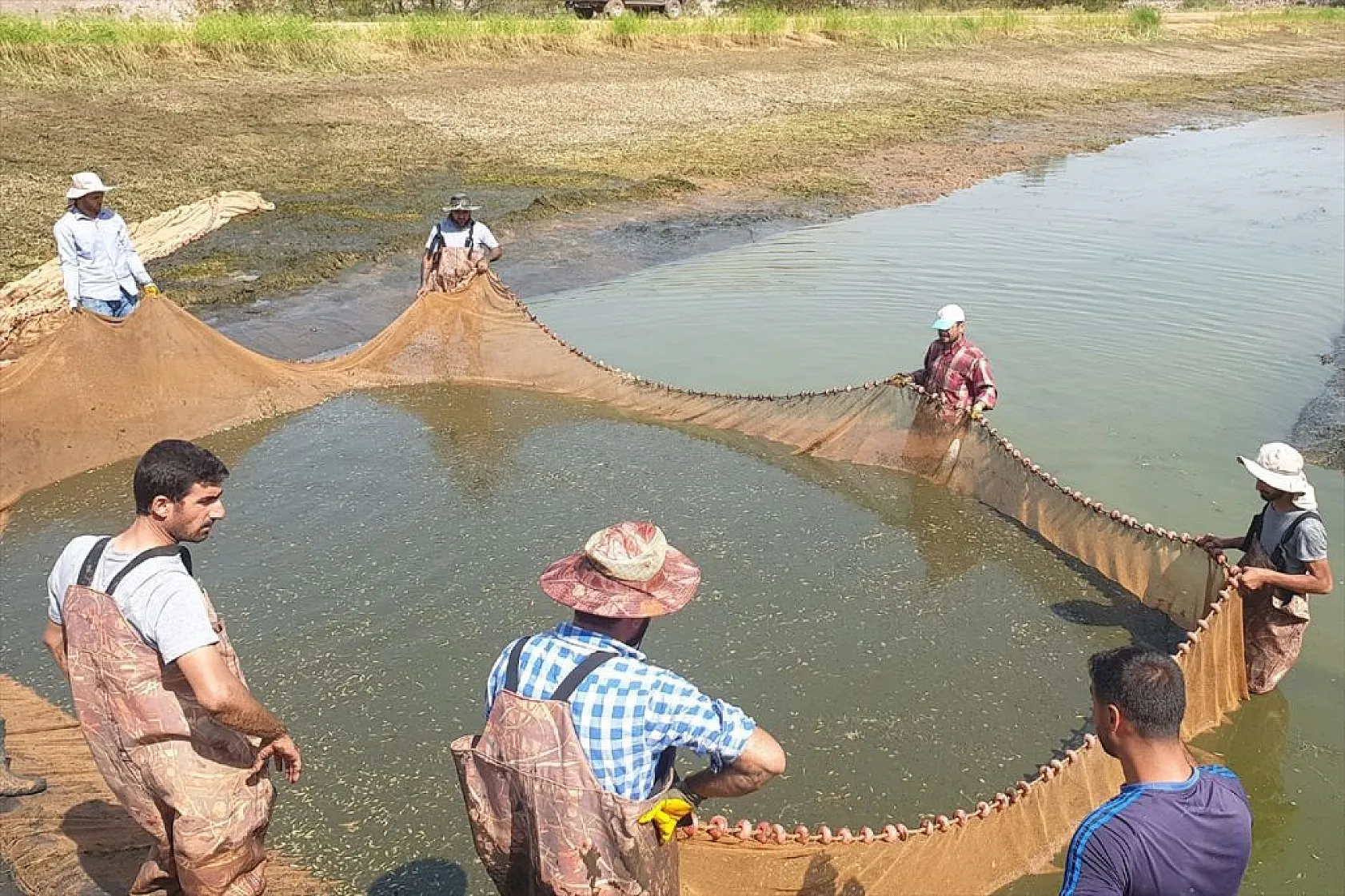 Elazığ'da üretilen yavru sazanla Doğu'daki su kaynakları balığa doyacak