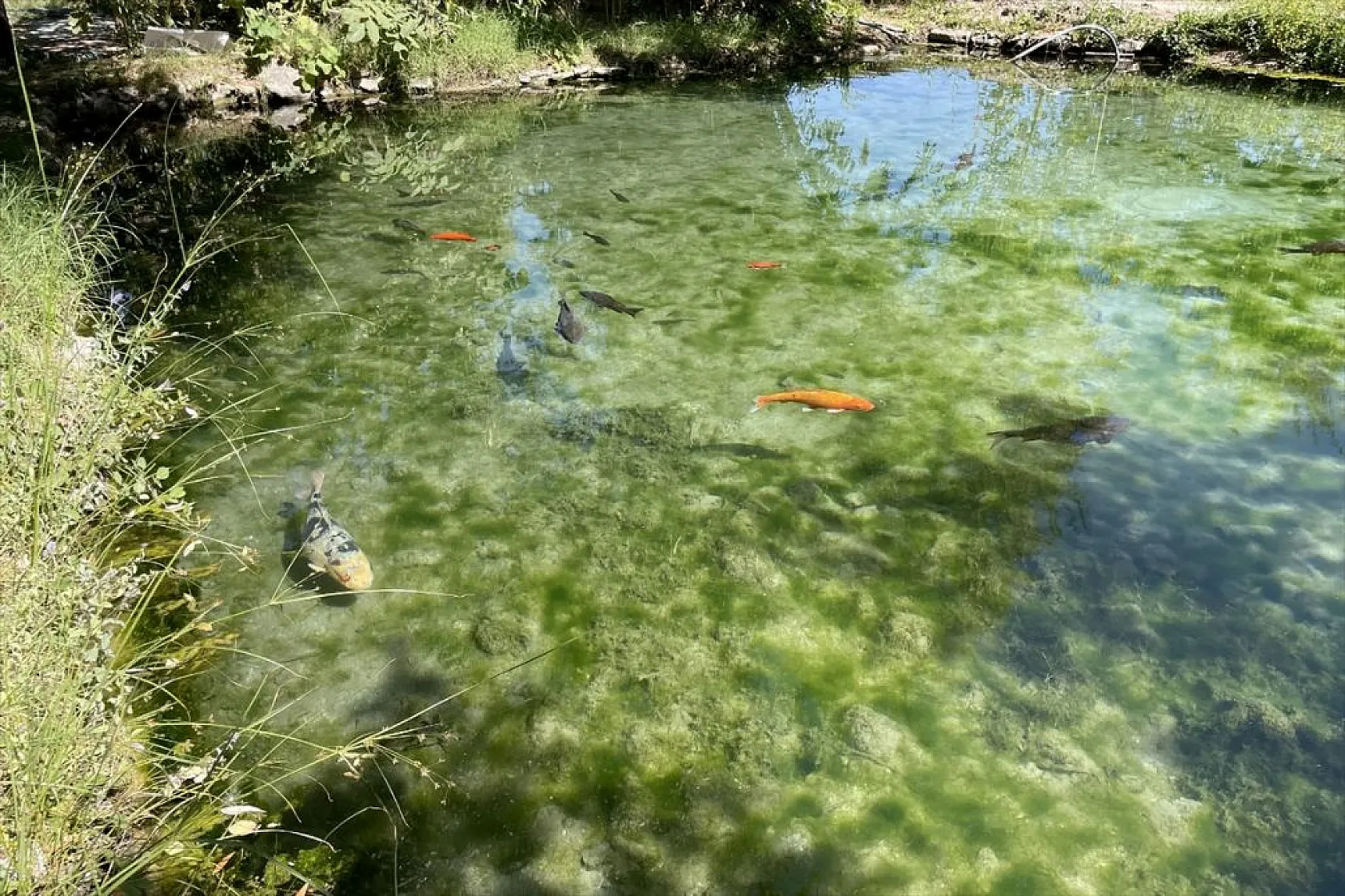 Elazığlılar 'Dipsiz Göl'ün turizme kazandırılmasını istiyor