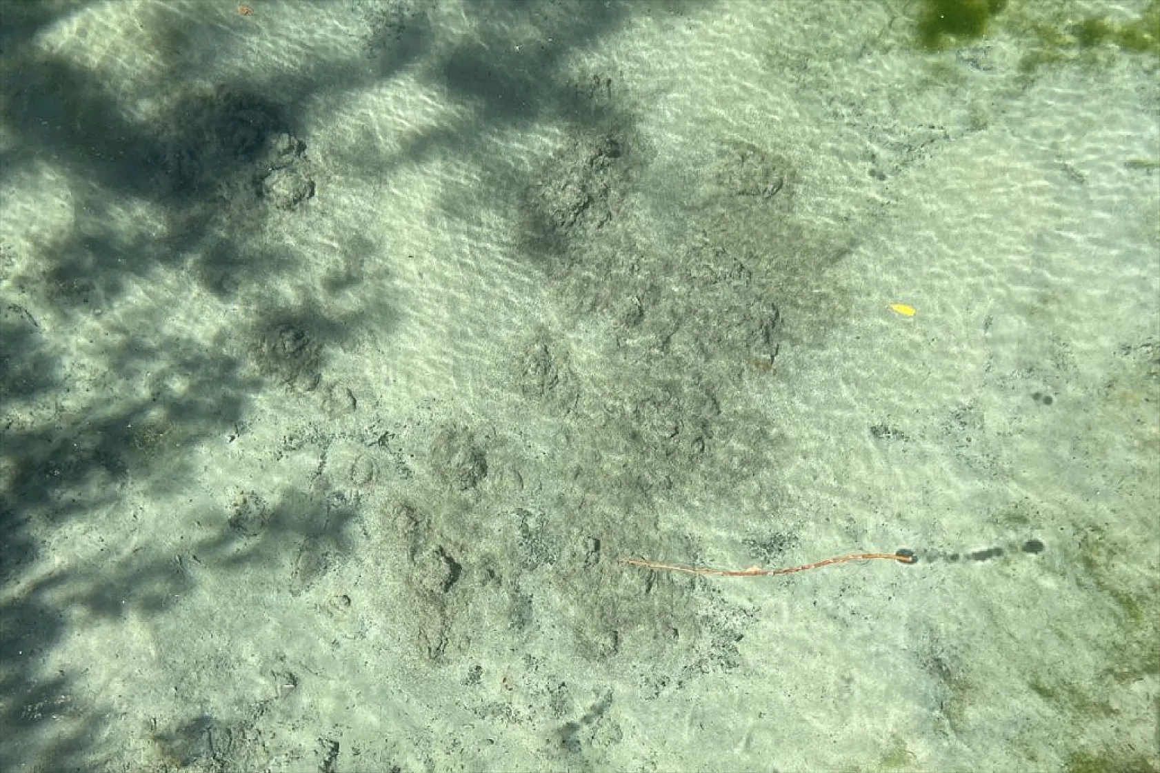 Elazığlılar 'Dipsiz Göl'ün turizme kazandırılmasını istiyor