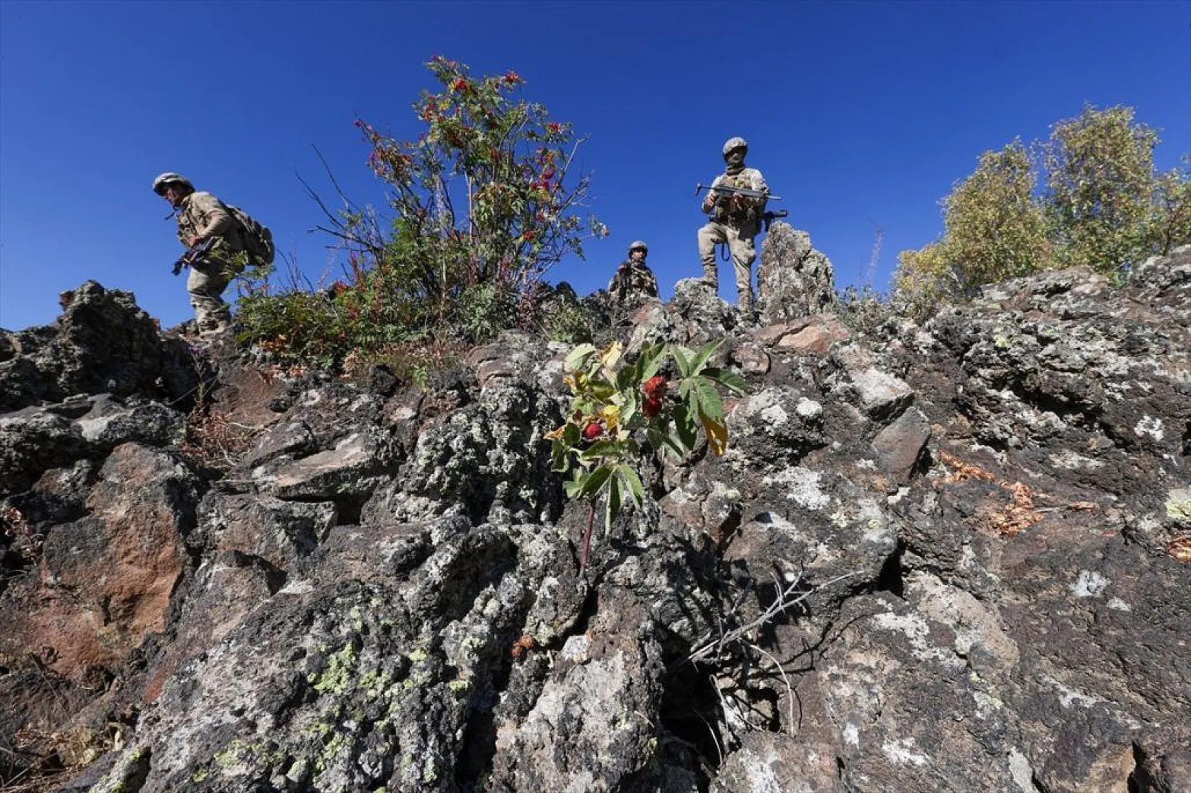 'Büyük Tendürek' terörden arındırılıyor