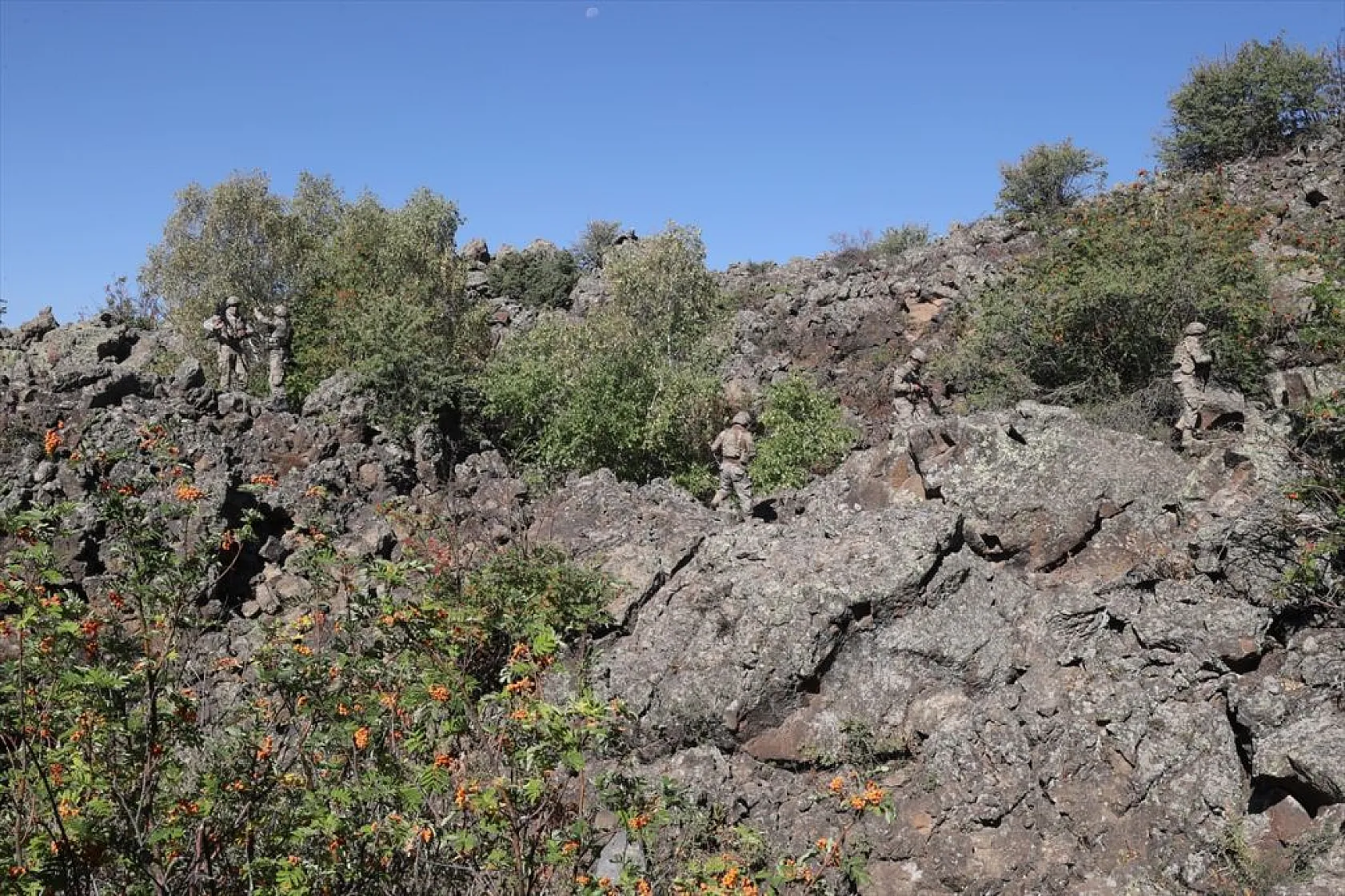 'Büyük Tendürek' terörden arındırılıyor