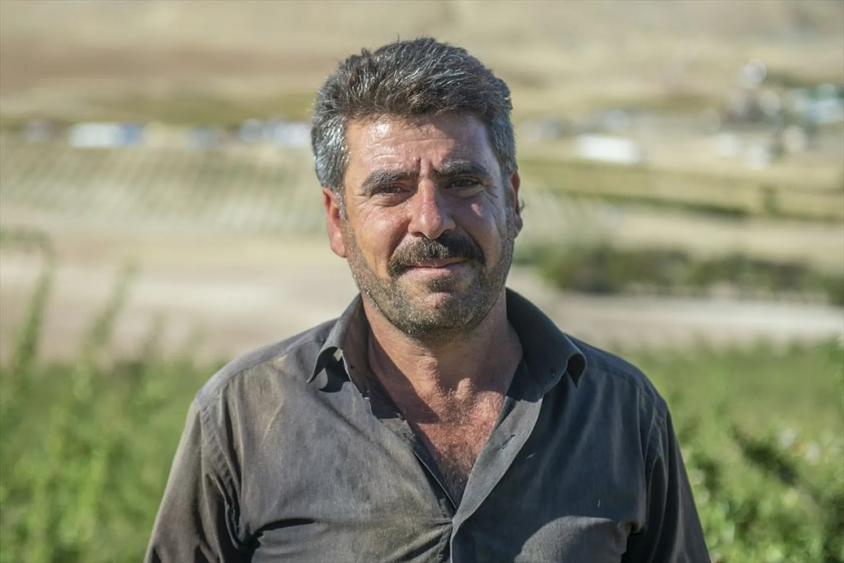 Badem bahçelerinde hasat zamanı