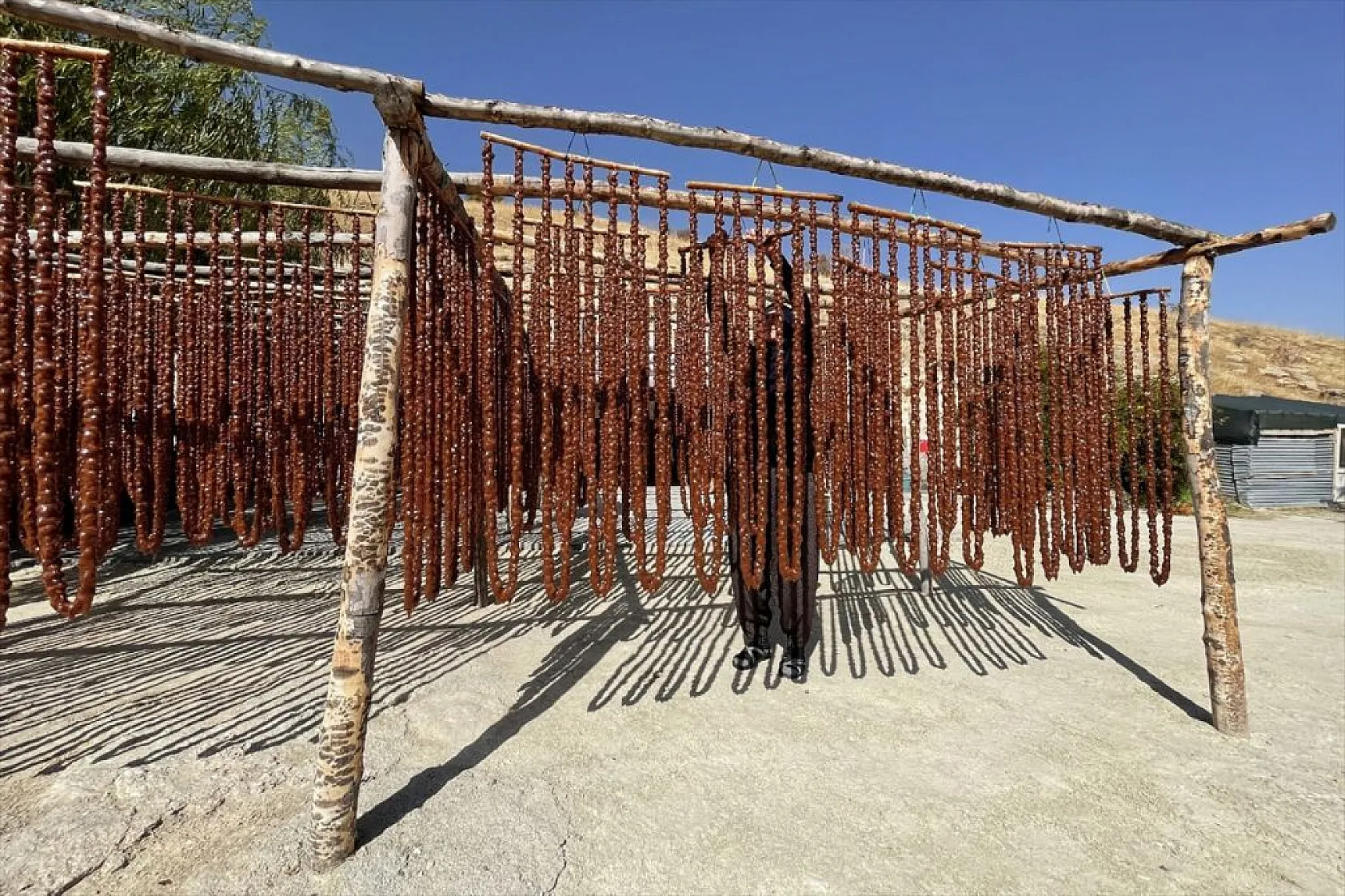 Elazığ'da 'orcik' mesaisi başladı