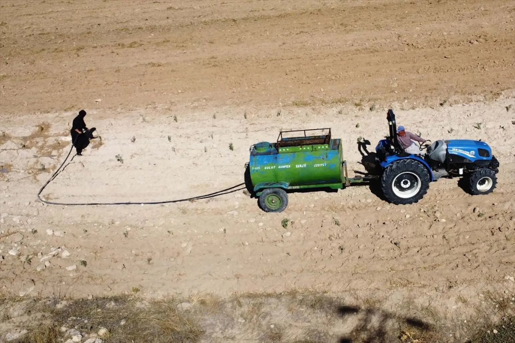 Atıl araziler tıbbi bitkilerle tarıma kazandırılıyor