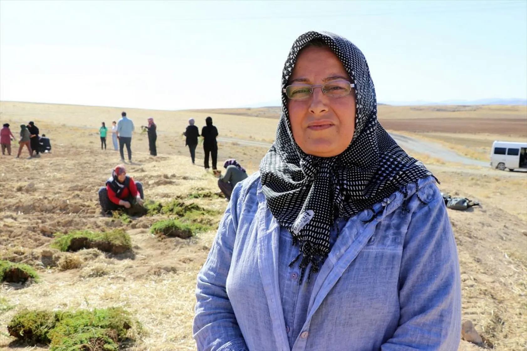 Atıl araziler tıbbi bitkilerle tarıma kazandırılıyor