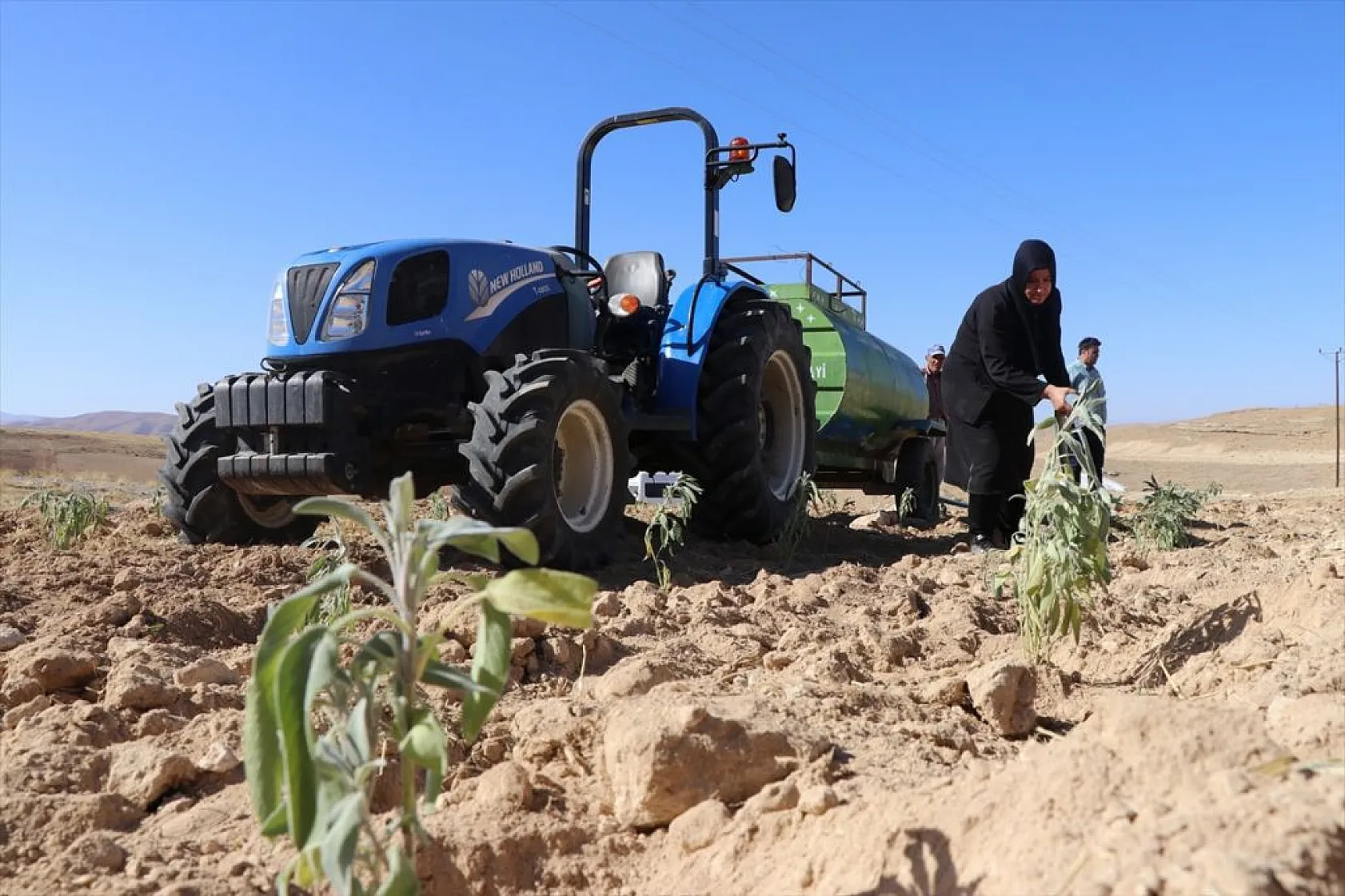 Atıl araziler tıbbi bitkilerle tarıma kazandırılıyor