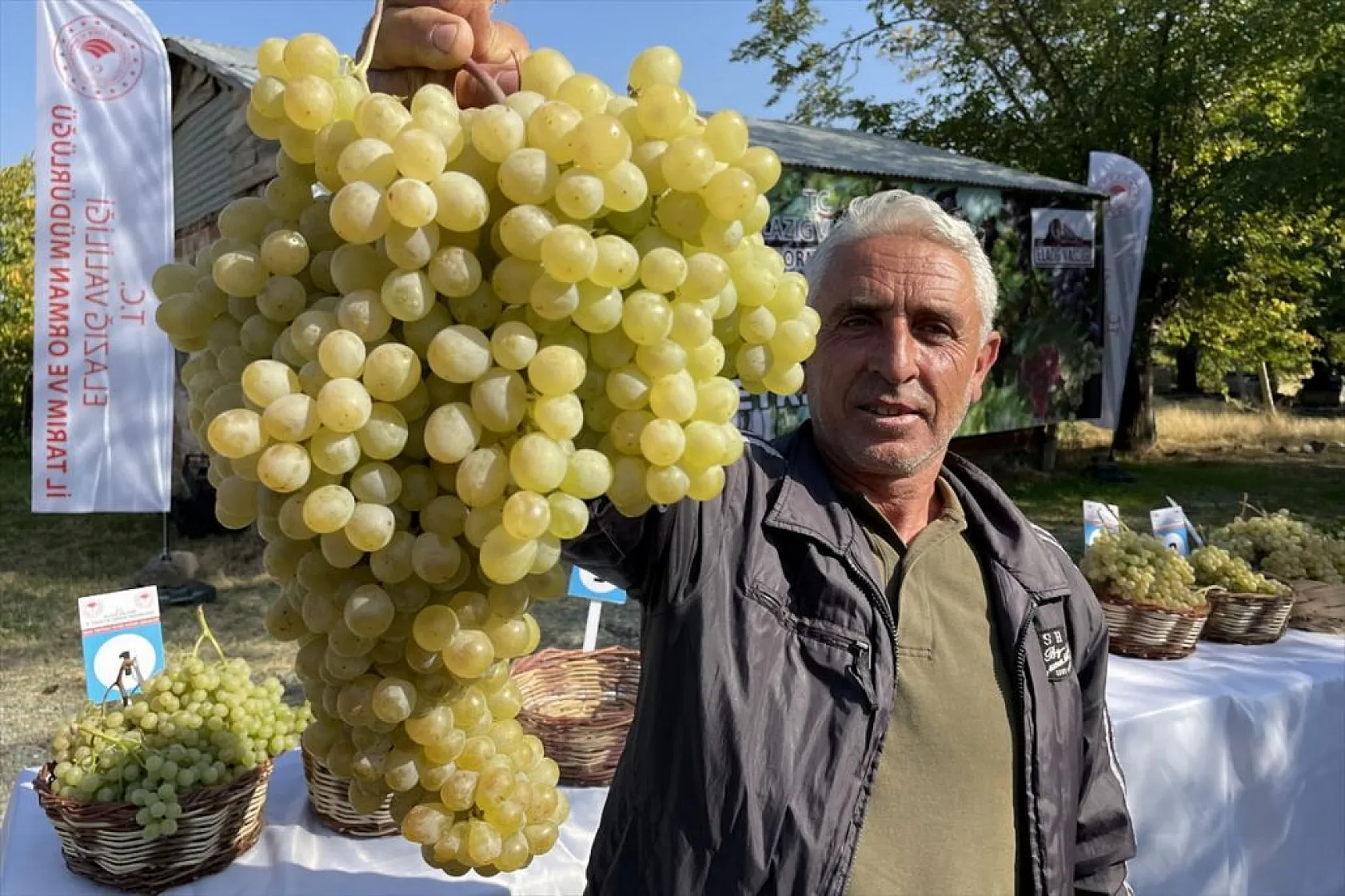 Elazığ'da 'bağ bozumu ve orcik' etkinliği