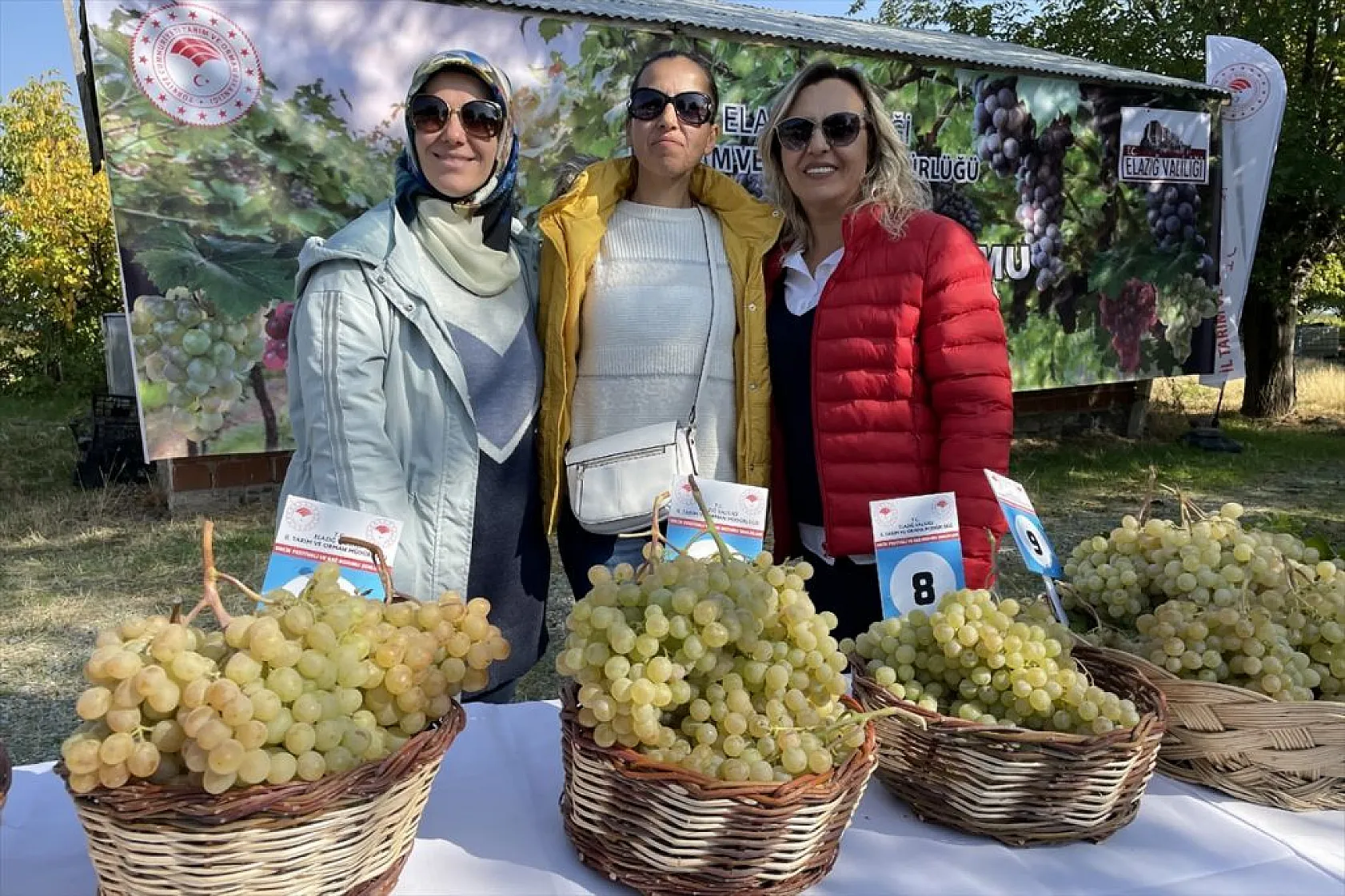 Elazığ'da 'bağ bozumu ve orcik' etkinliği